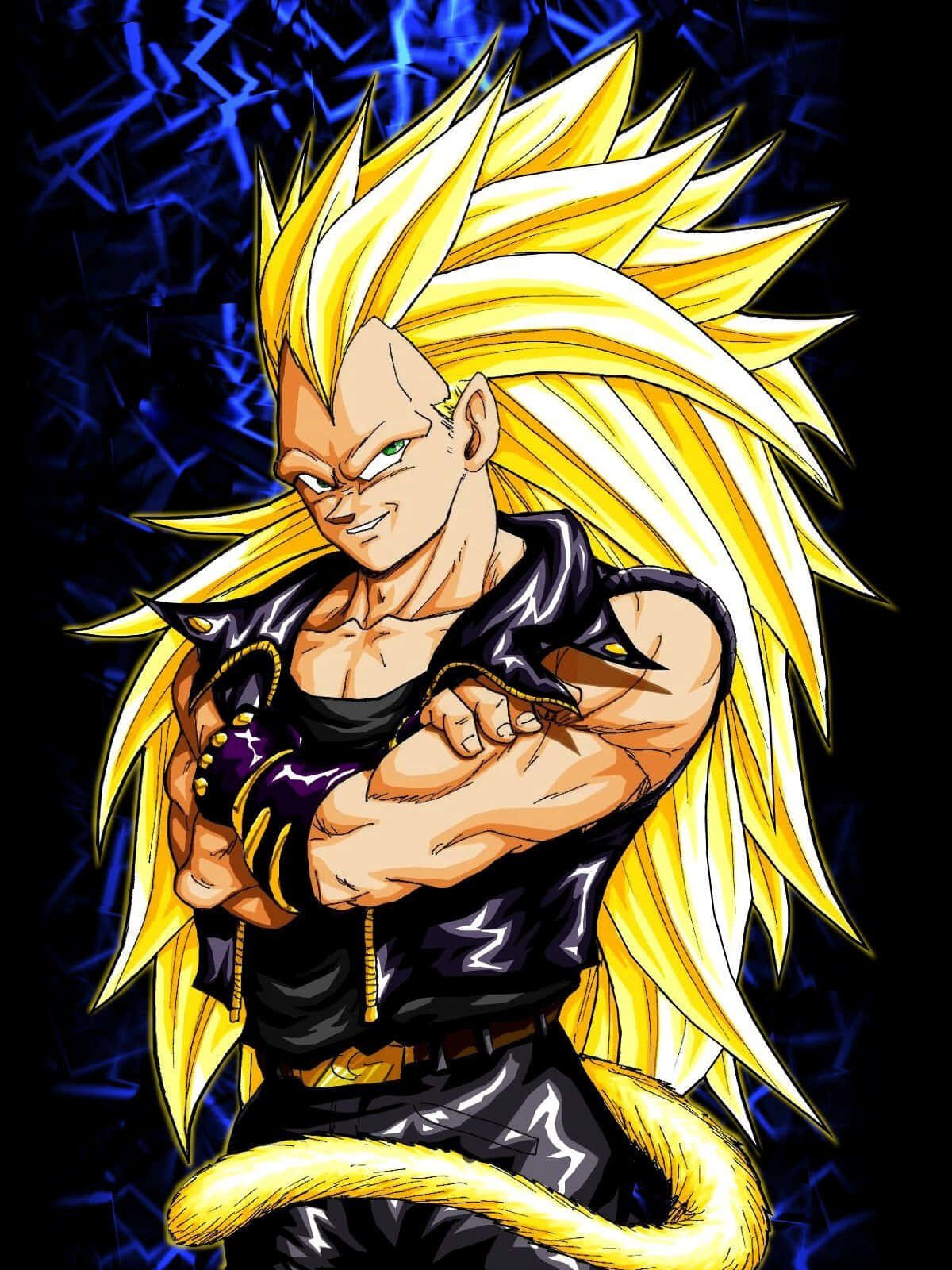 Vegeta, Super Saiyan 3, spiky golden hair, HD Phone Wallpaper