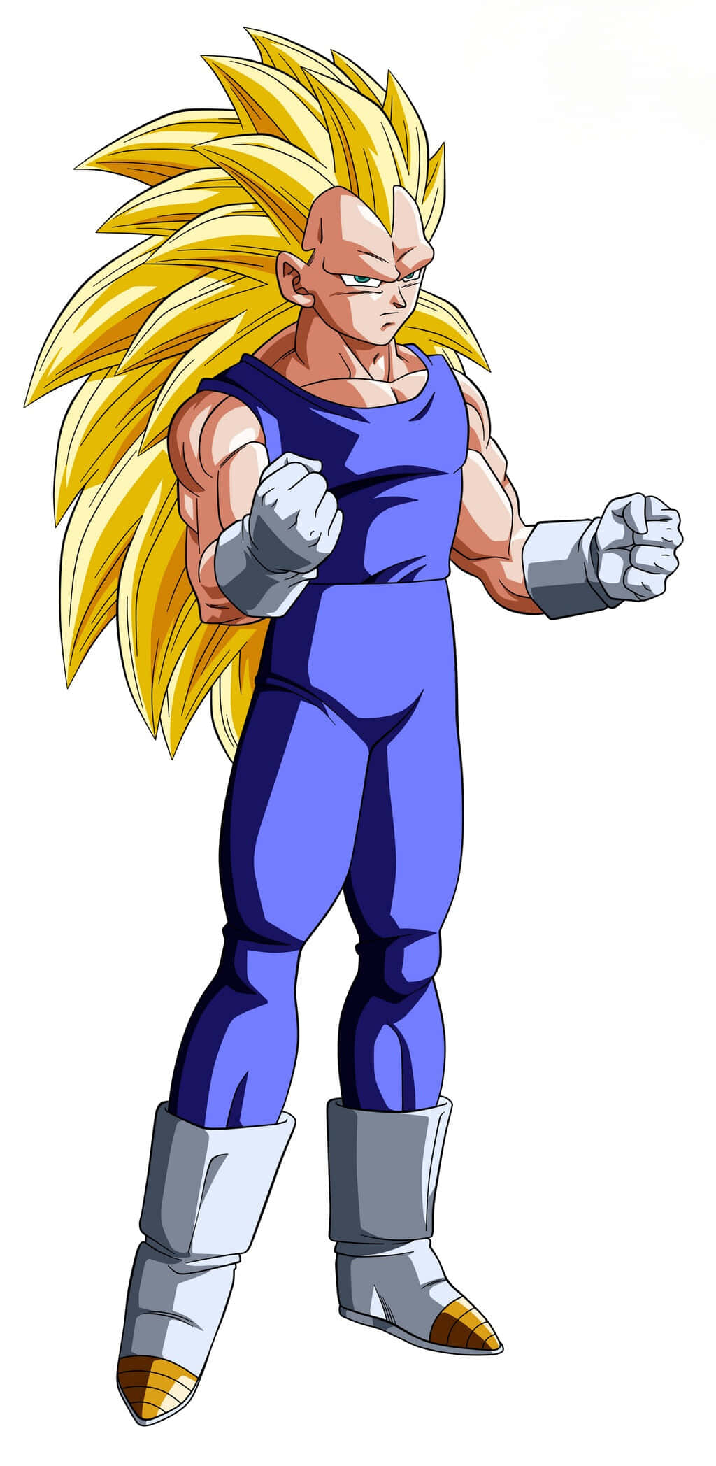 Vegeta, Super Saiyan 3, spiky golden hair, Full HD Phone Wallpaper