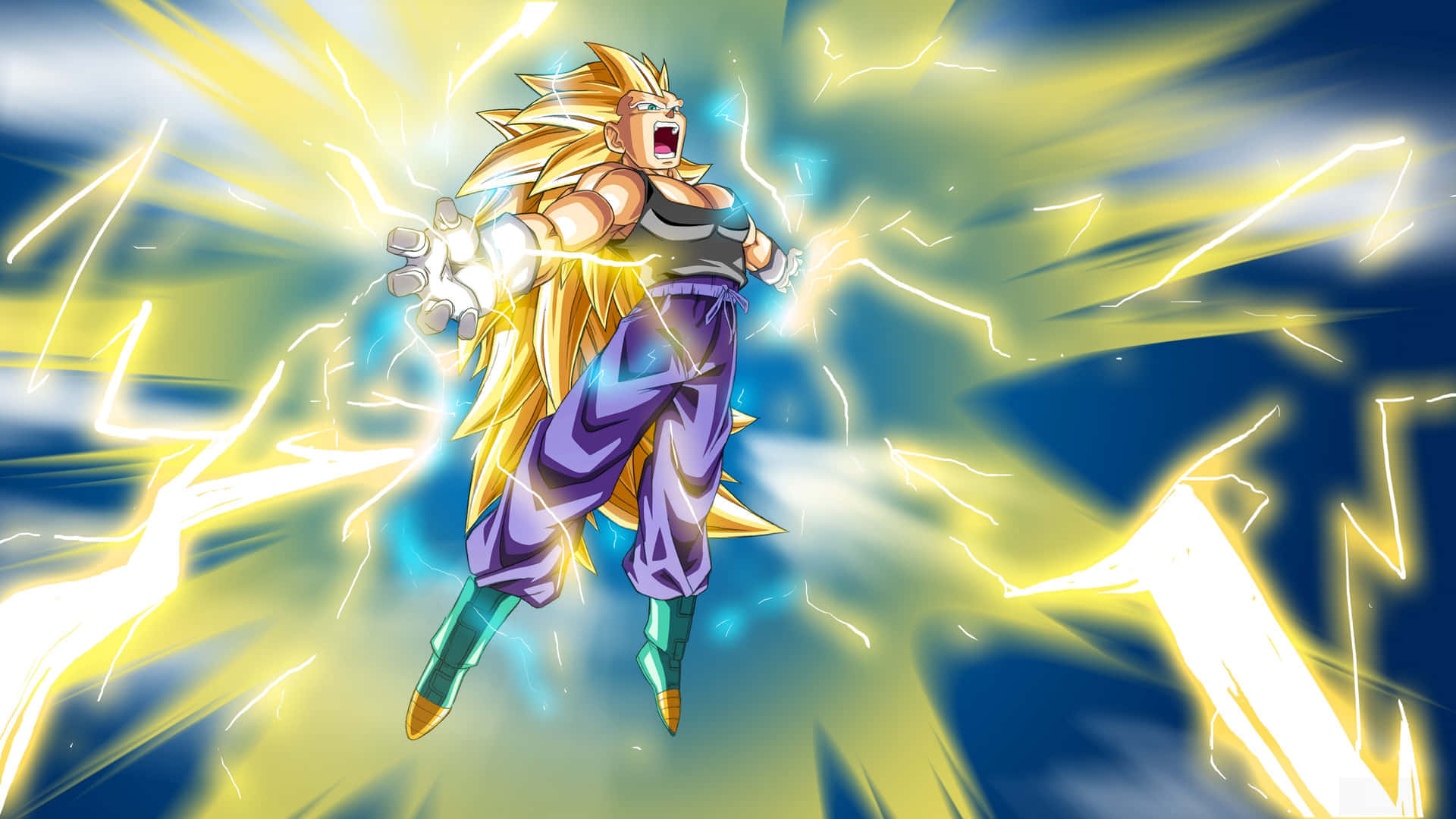 Vegeta Super Saiyan 3, golden-haired, anime warrior, Full HD Desktop Wallpaper