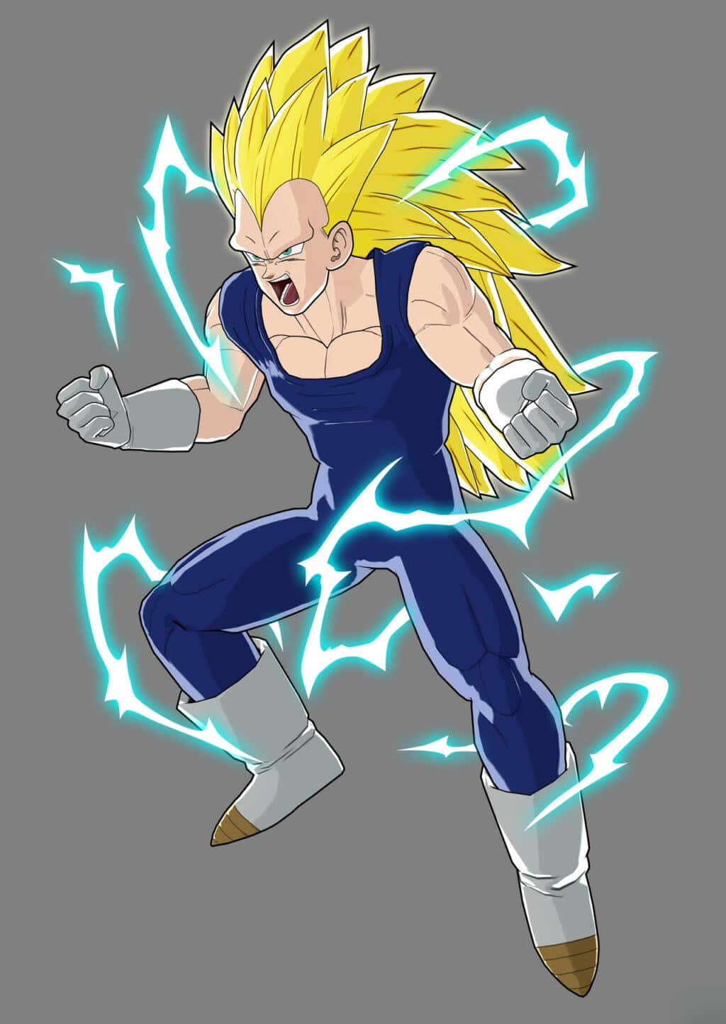 Vegeta, Super Saiyan 3, spiky yellow hair, HD Phone Wallpaper
