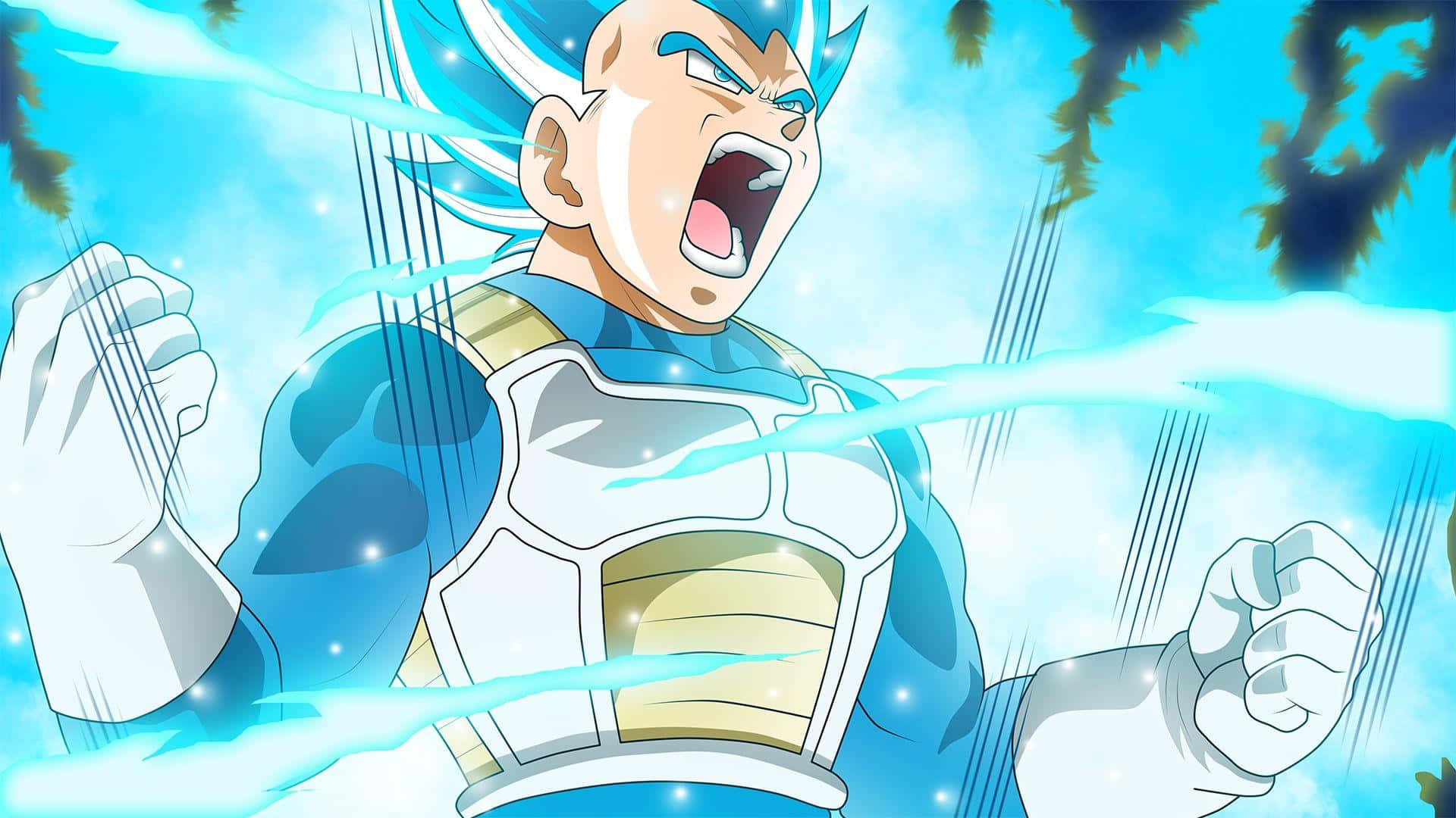 Vegeta, Super Saiyan Blue, blue-haired, Full HD Desktop Wallpaper