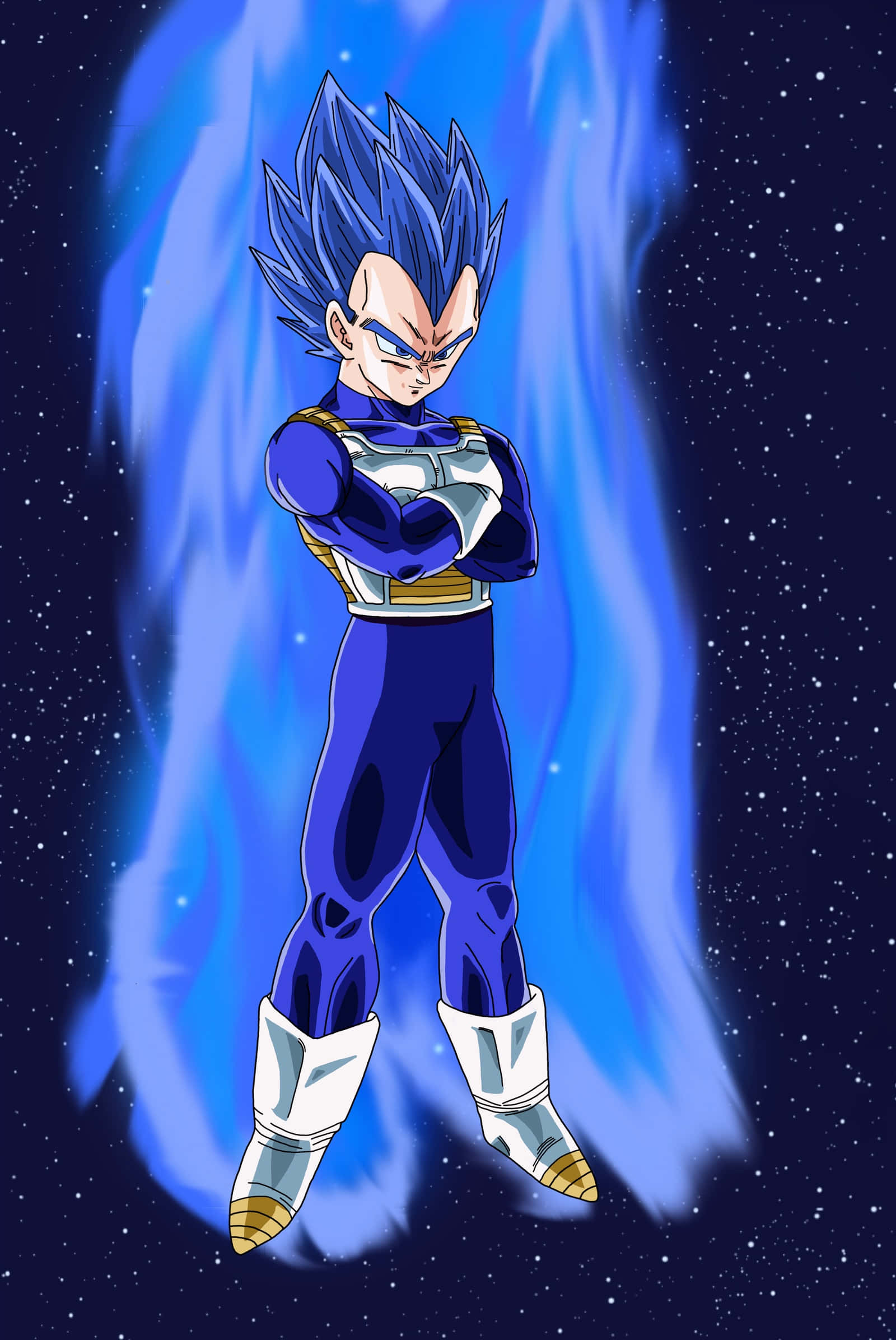 Vegeta, Super Saiyan Blue, starry cosmic backdrop, Full HD Phone Wallpaper