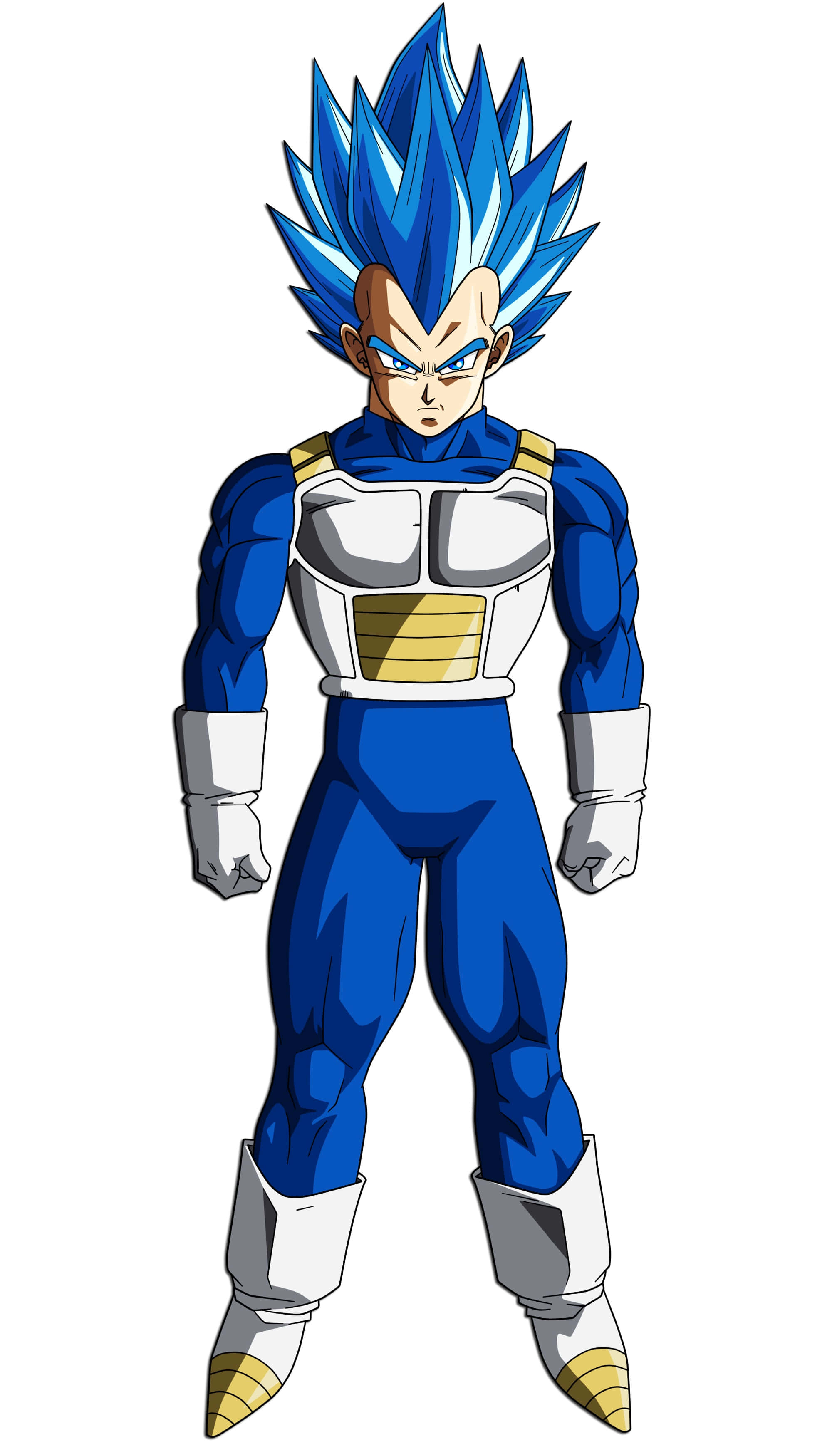 Vegeta, Super Saiyan Blue, blue-haired, 2K Phone Wallpaper