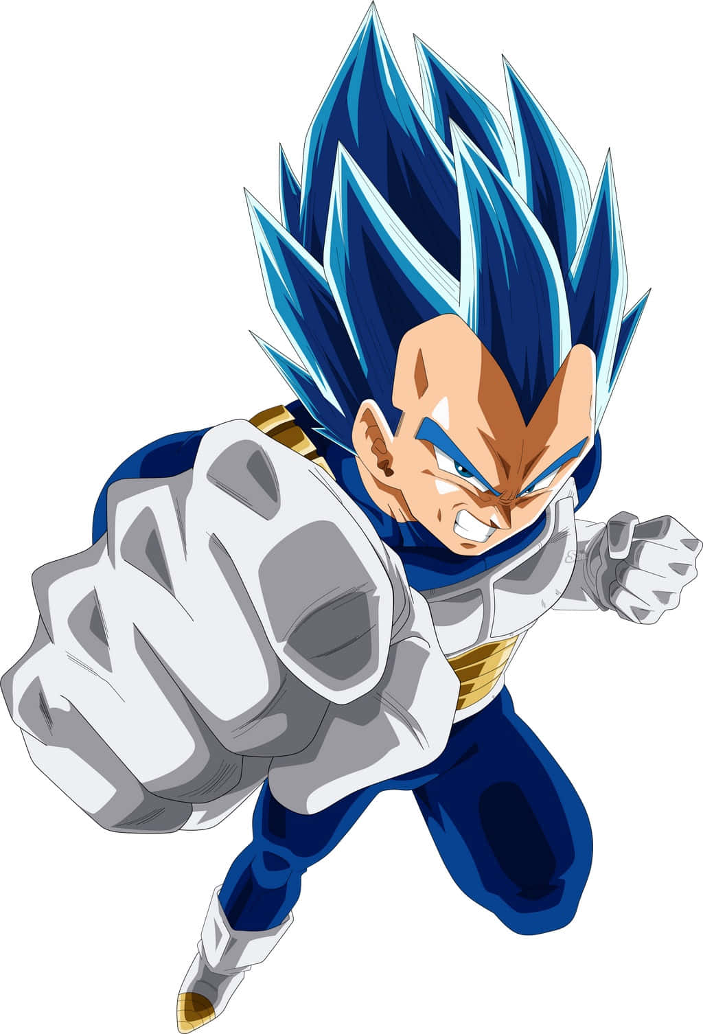 Vegeta, Super Saiyan Blue, anime character, HD Phone Wallpaper