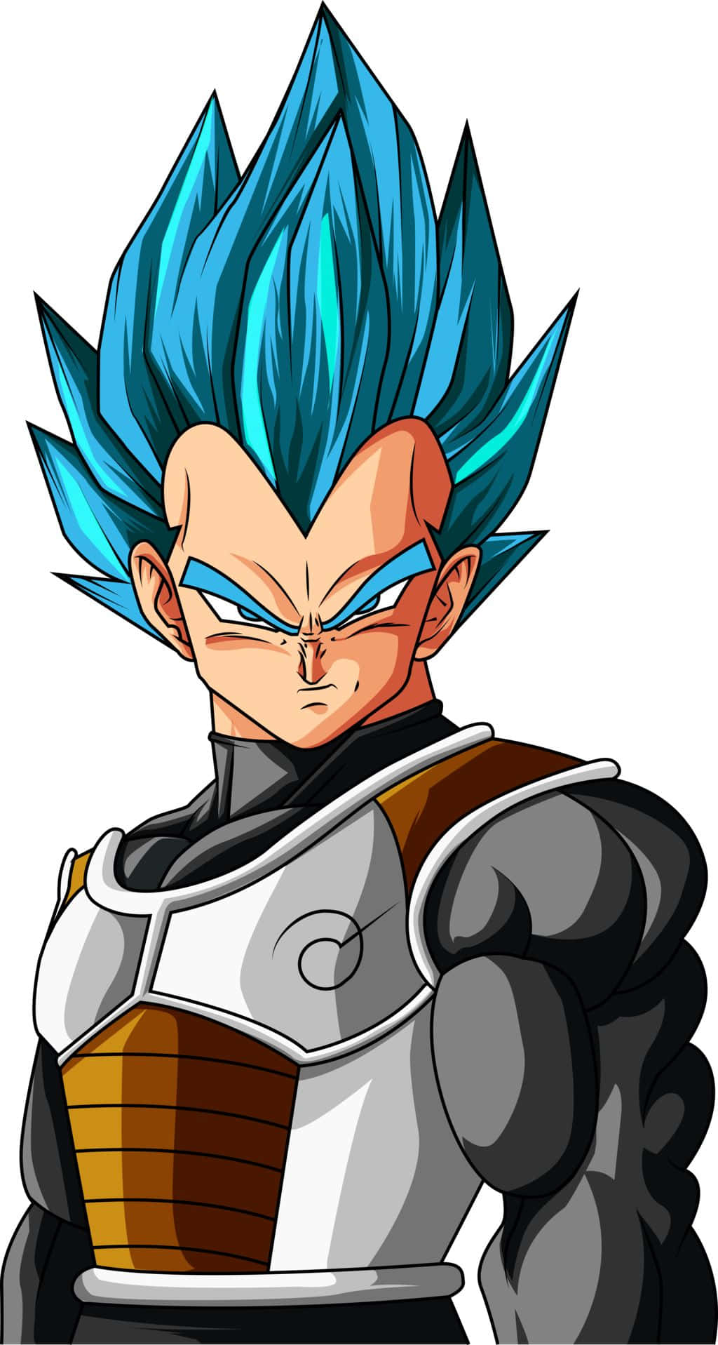 Vegeta, Super Saiyan Blue, spiky blue hair, HD Phone Wallpaper