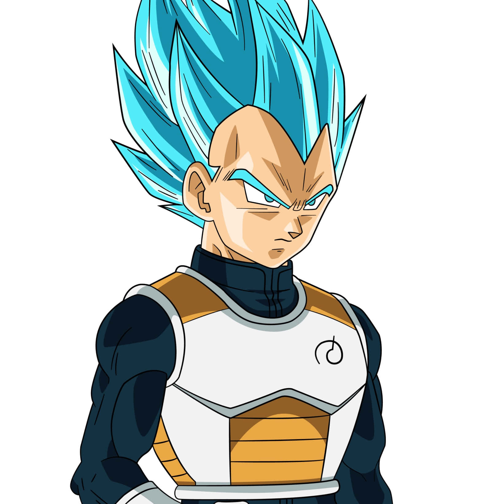 Vegeta, Super Saiyan Blue, spiky blue hair, HD Phone Wallpaper