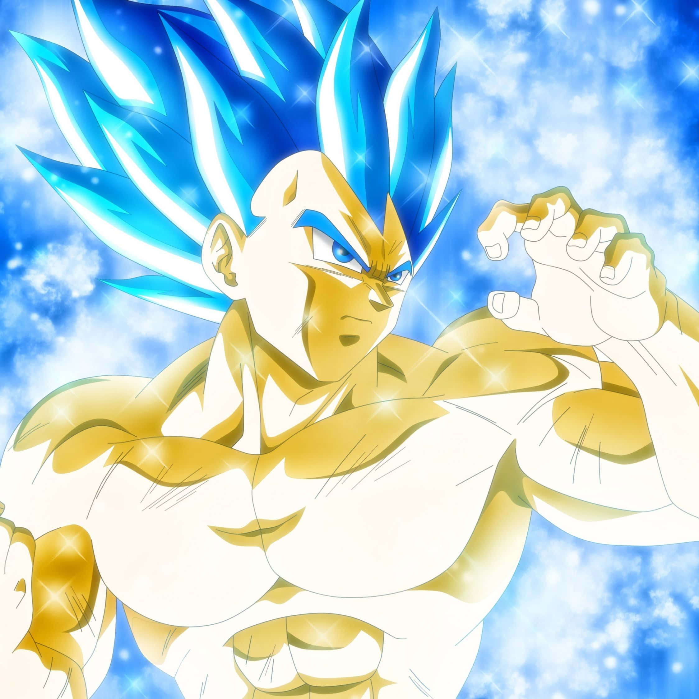 Vegeta, Super Saiyan Blue, golden skin, Full HD Desktop Wallpaper