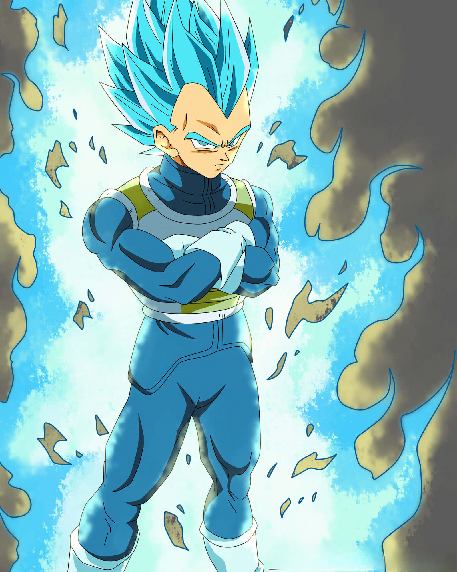 Vegeta, Super Saiyan Blue, blue-haired, Full HD Phone Wallpaper