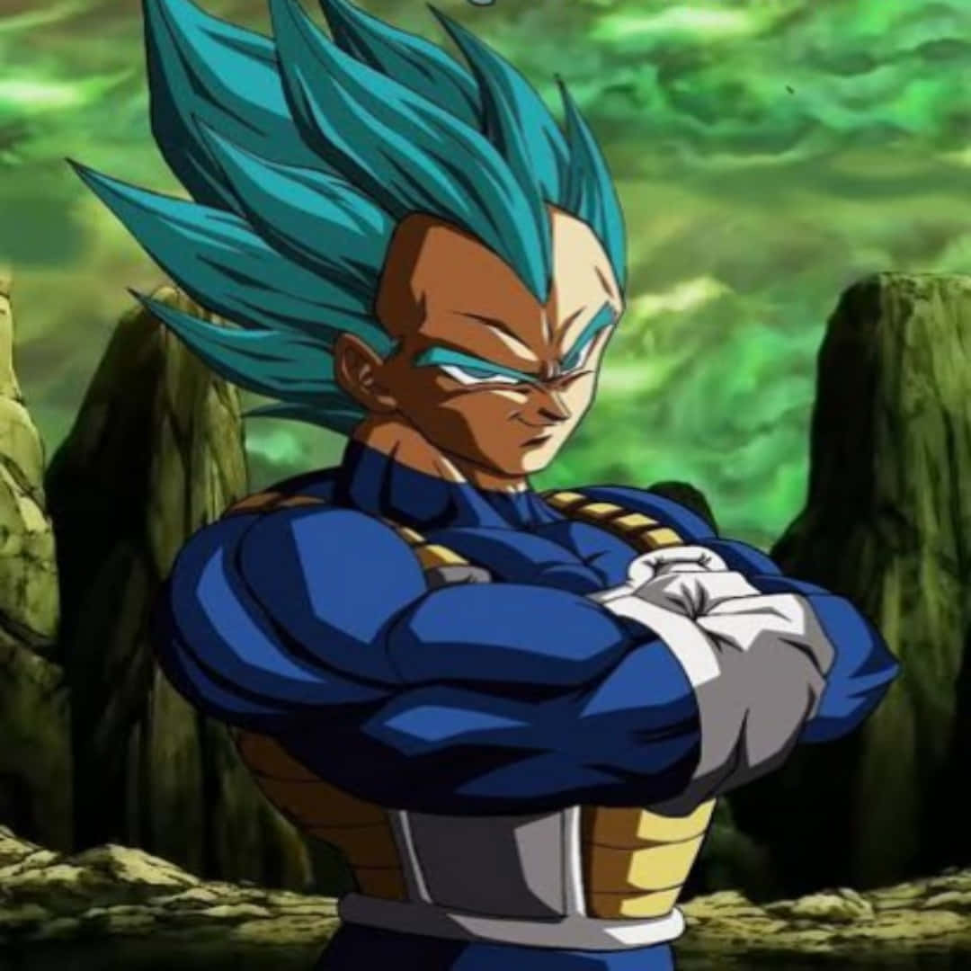 Vegeta, Super Saiyan Blue, blue-haired, SD Desktop Wallpaper