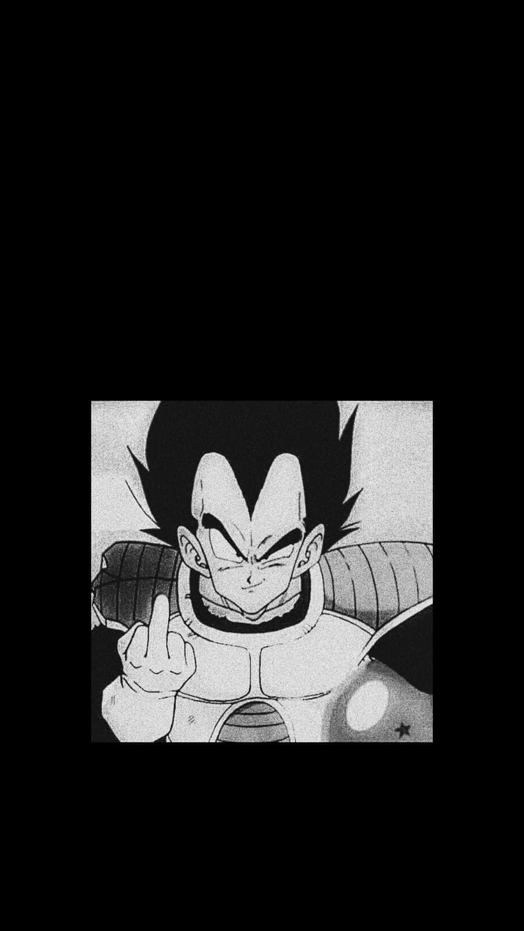 Vegeta, black and white, spiky hair, HD Phone Wallpaper