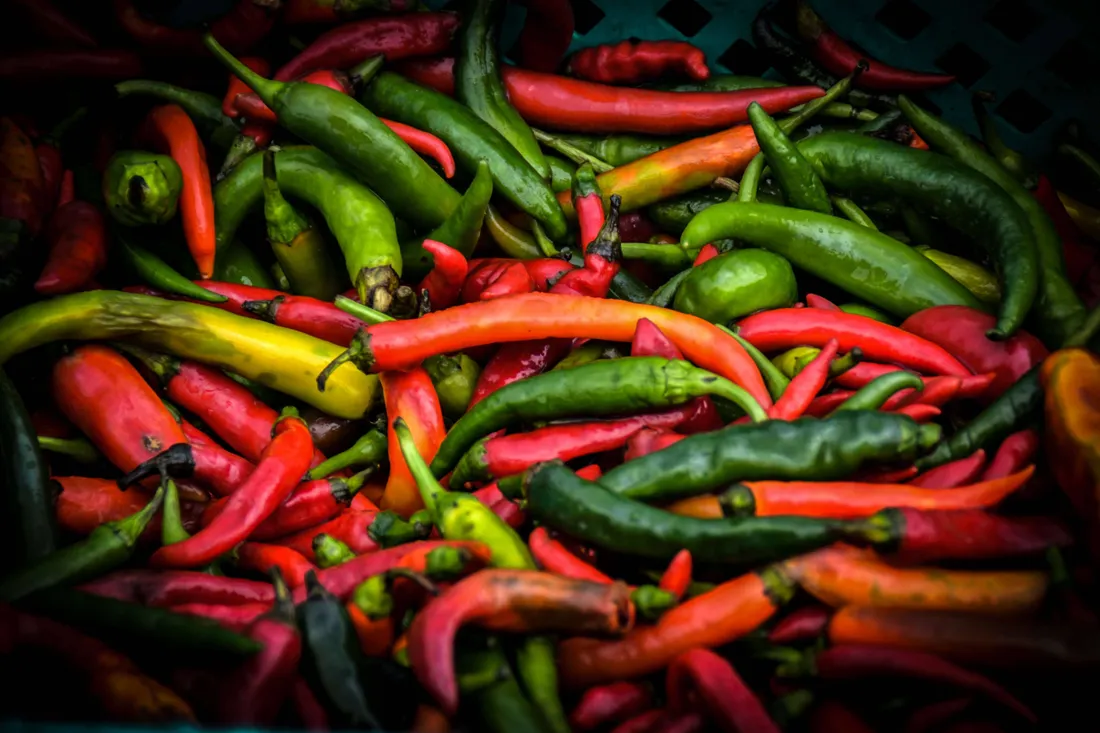 Vegetable