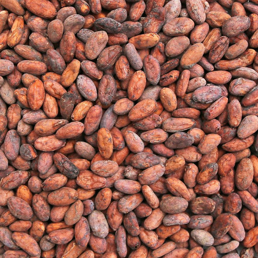 raw cacao beans, cocoa beans, rich brown textures, SD Desktop Wallpaper