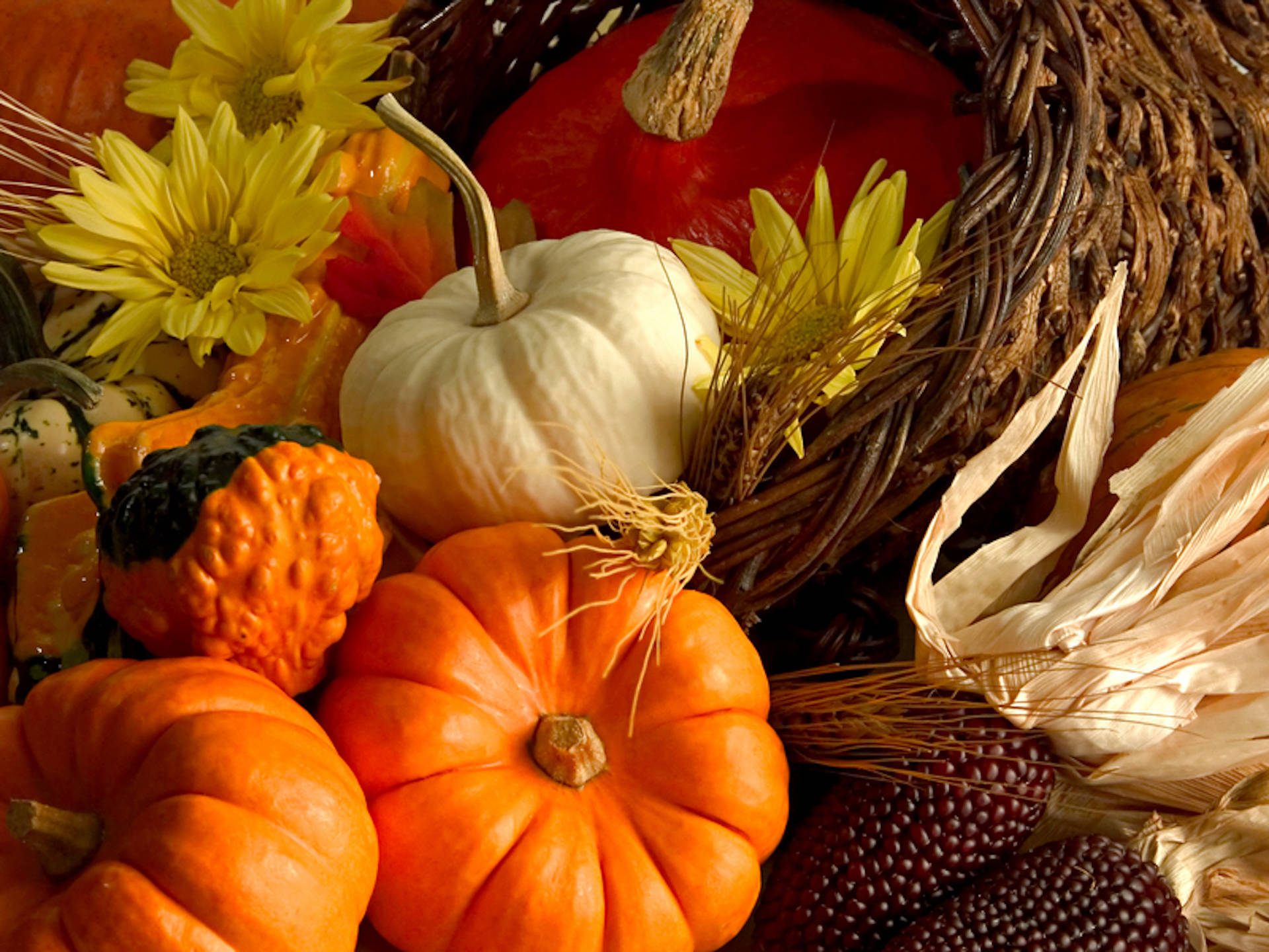 vegetable, fall, pumpkins, Full HD Desktop Wallpaper