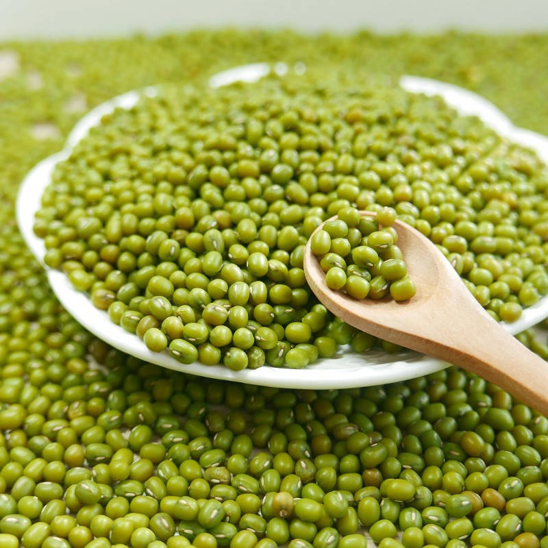 mung beans, white plate, wooden spoon, SD Desktop Wallpaper