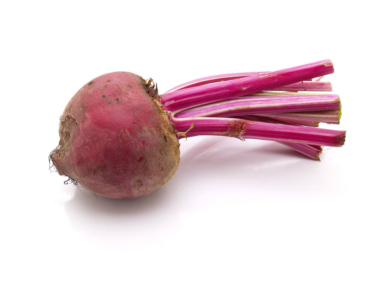 beetroot, vibrant pink, fresh stems, HD Desktop Wallpaper
