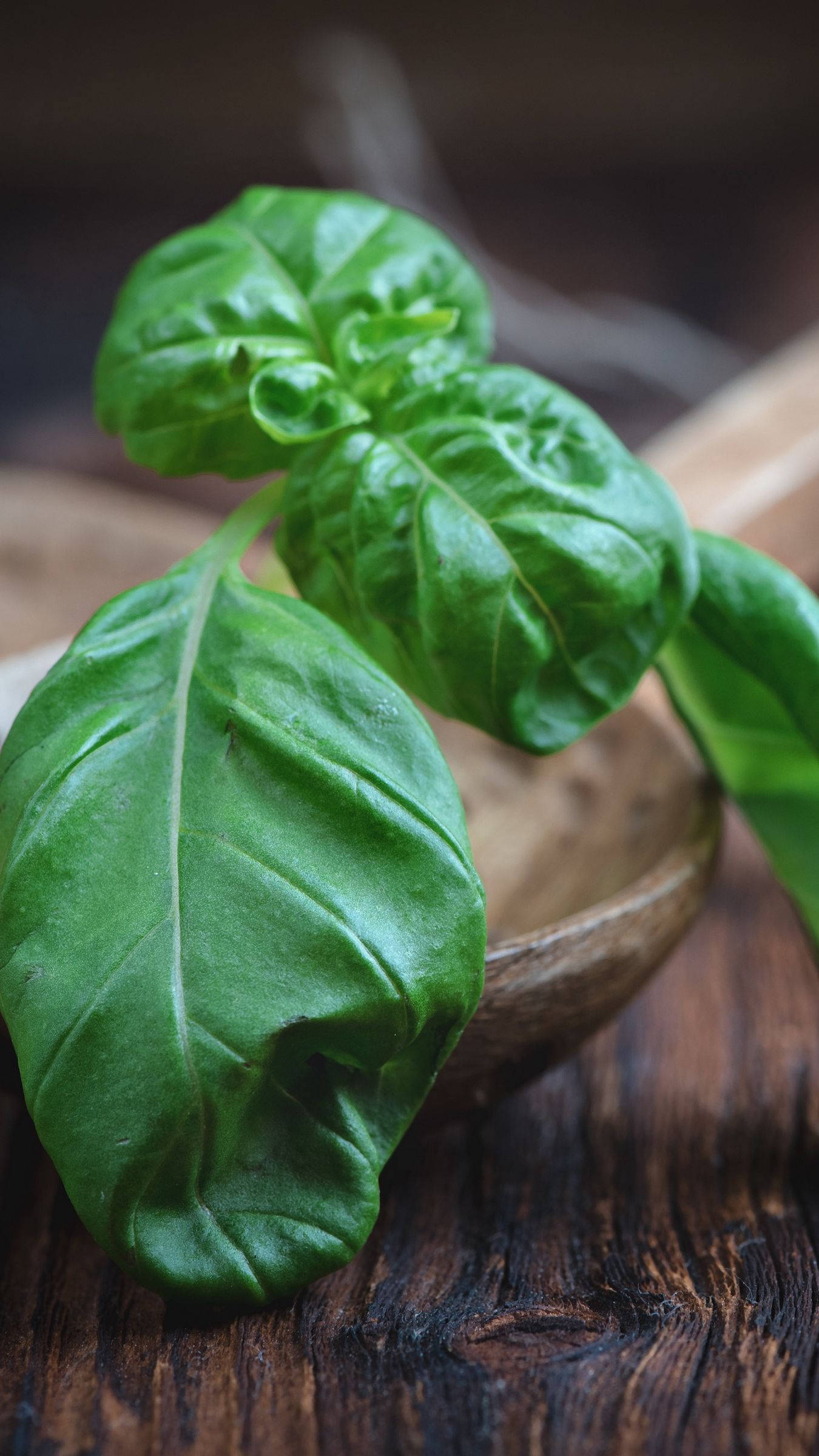 basil, culinary herb, wooden ladle, Full HD Phone Wallpaper
