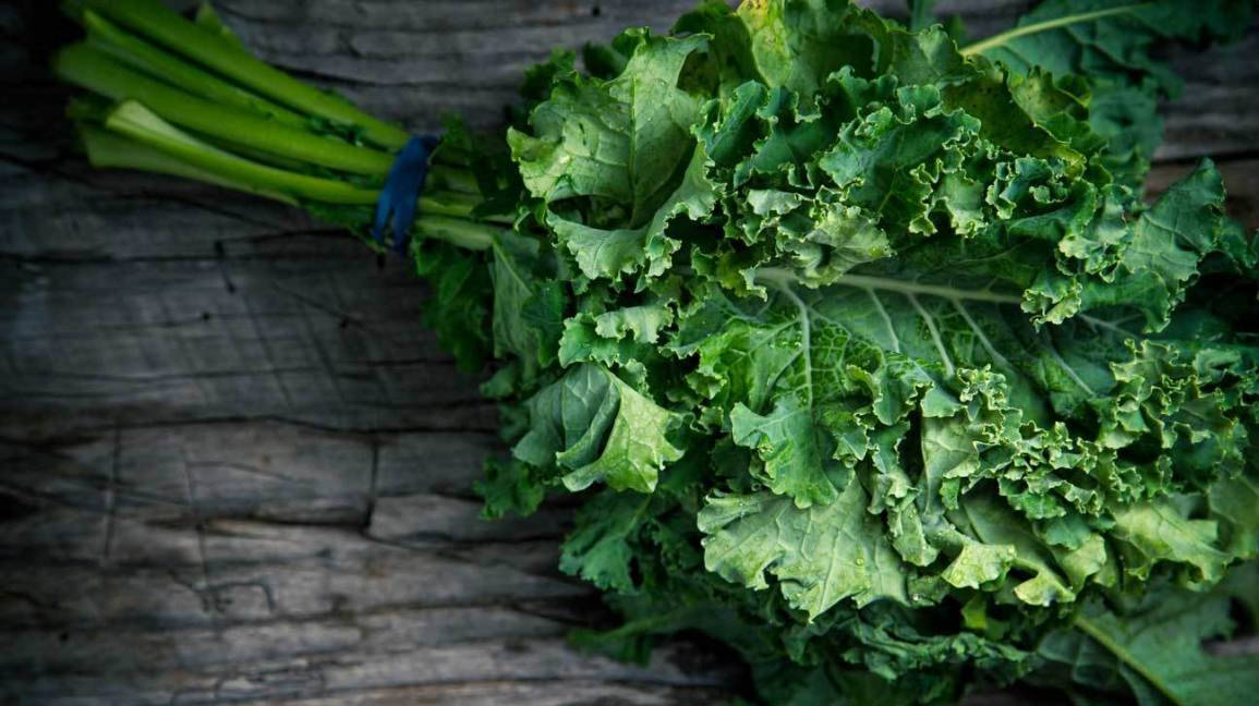 dark green kale, curly kale, blue twine, SD Desktop Wallpaper