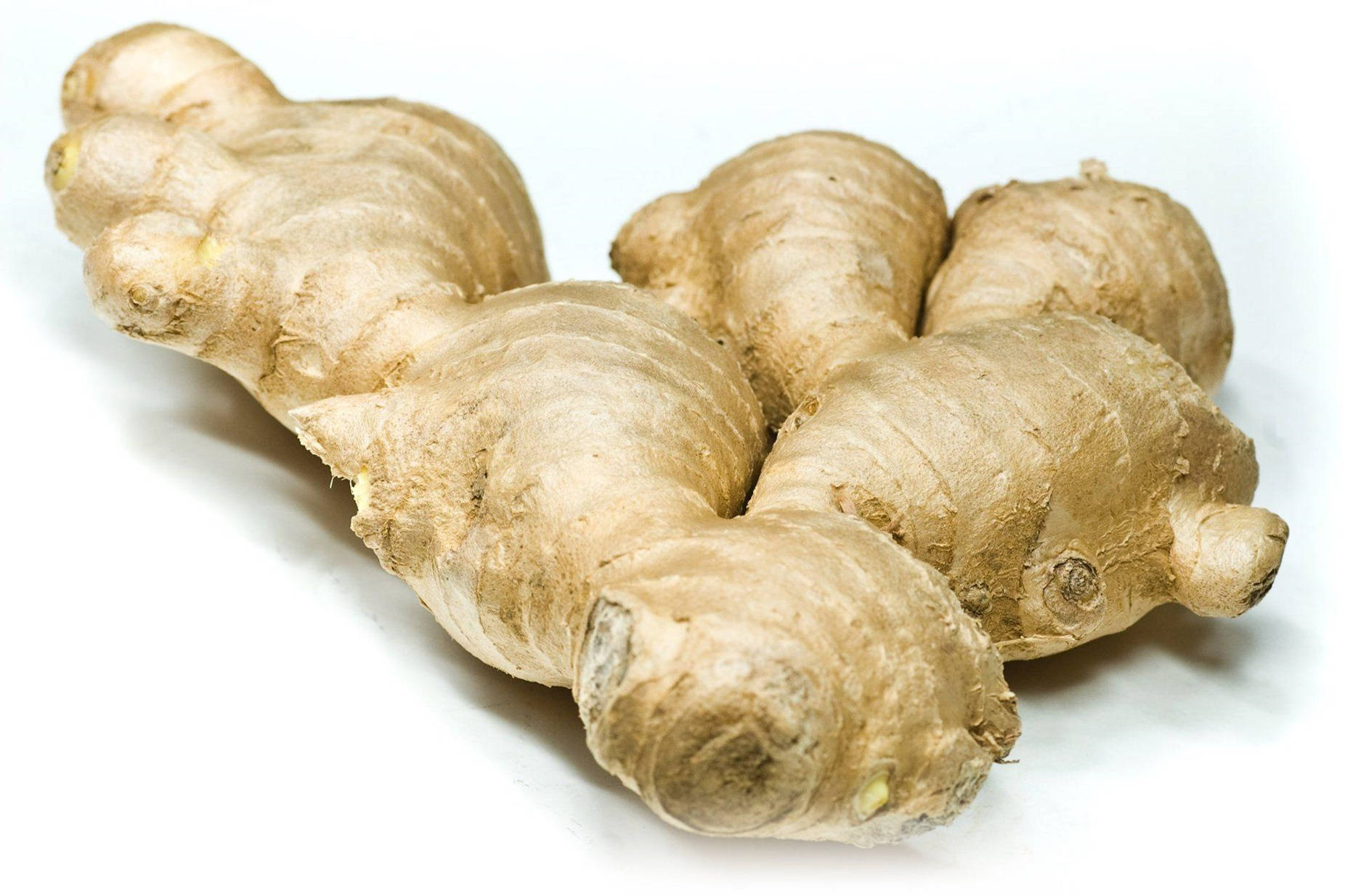 organic ginger root, vegetable, knobby ginger roots, HD Desktop Wallpaper