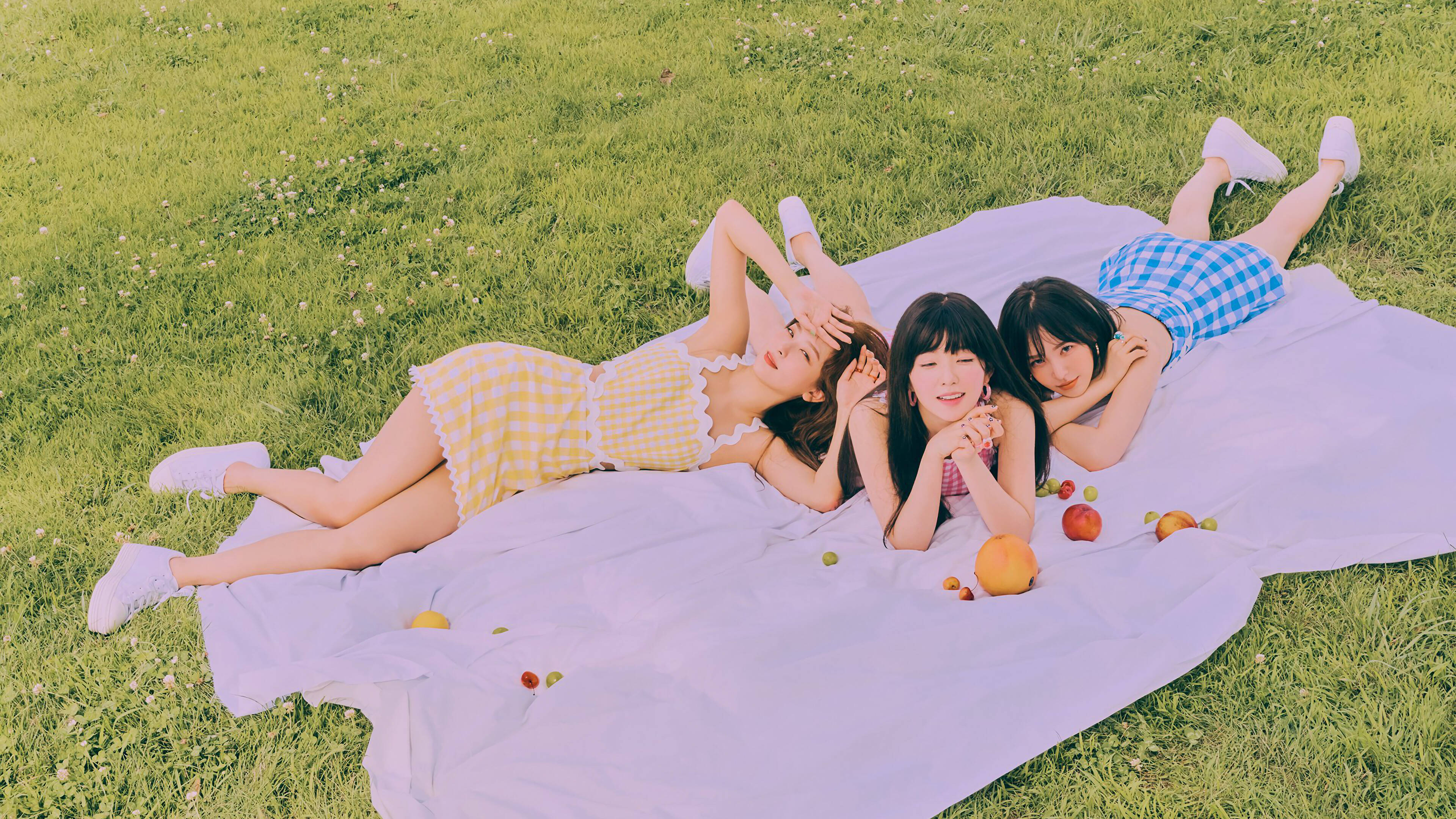 Red Velvet, lavender blanket, sunlit grassy field, 4K Desktop Wallpaper