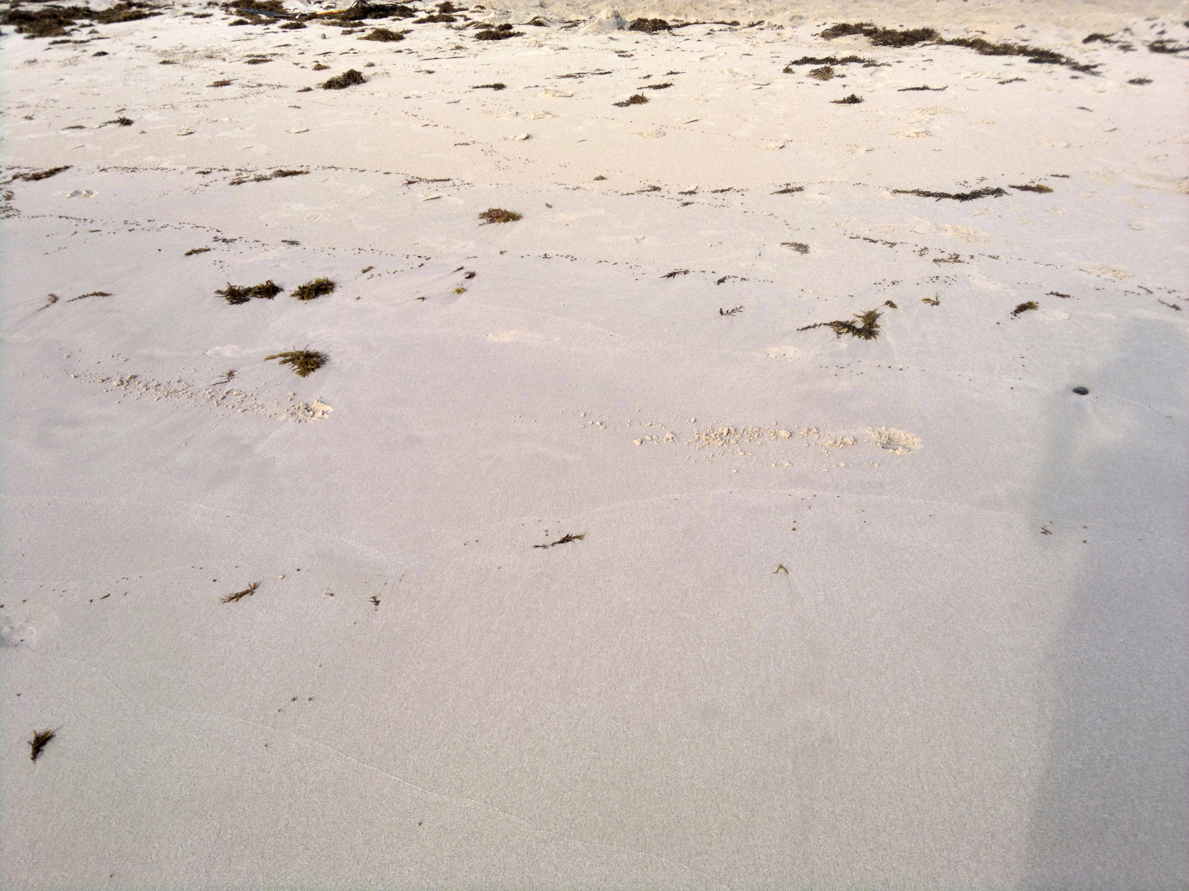Venezuela, beach sand, bright white sandy beach, 4K Desktop Wallpaper
