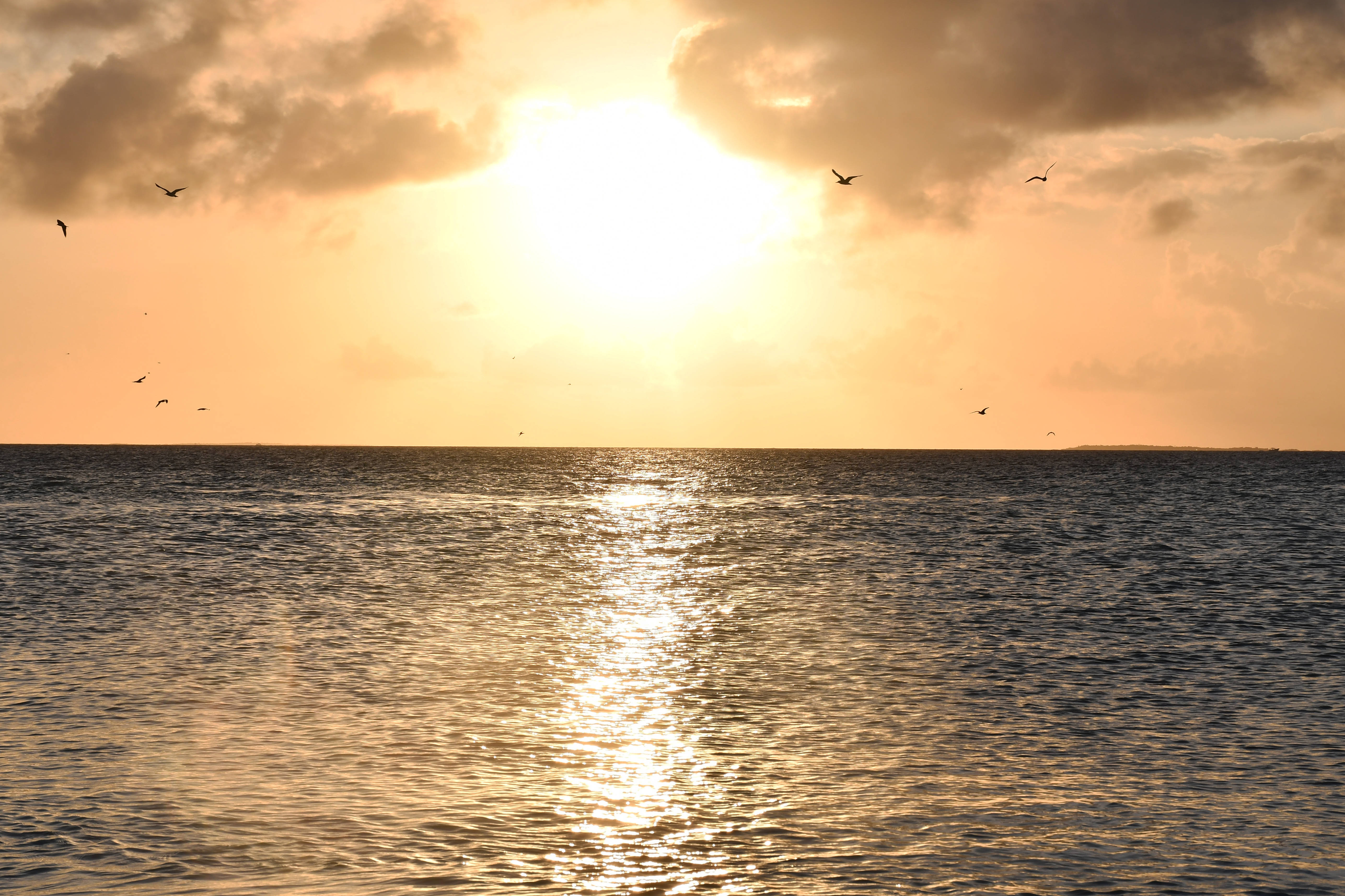 sunset in venezuela, ocean, golden sunset, 5K Desktop Wallpaper