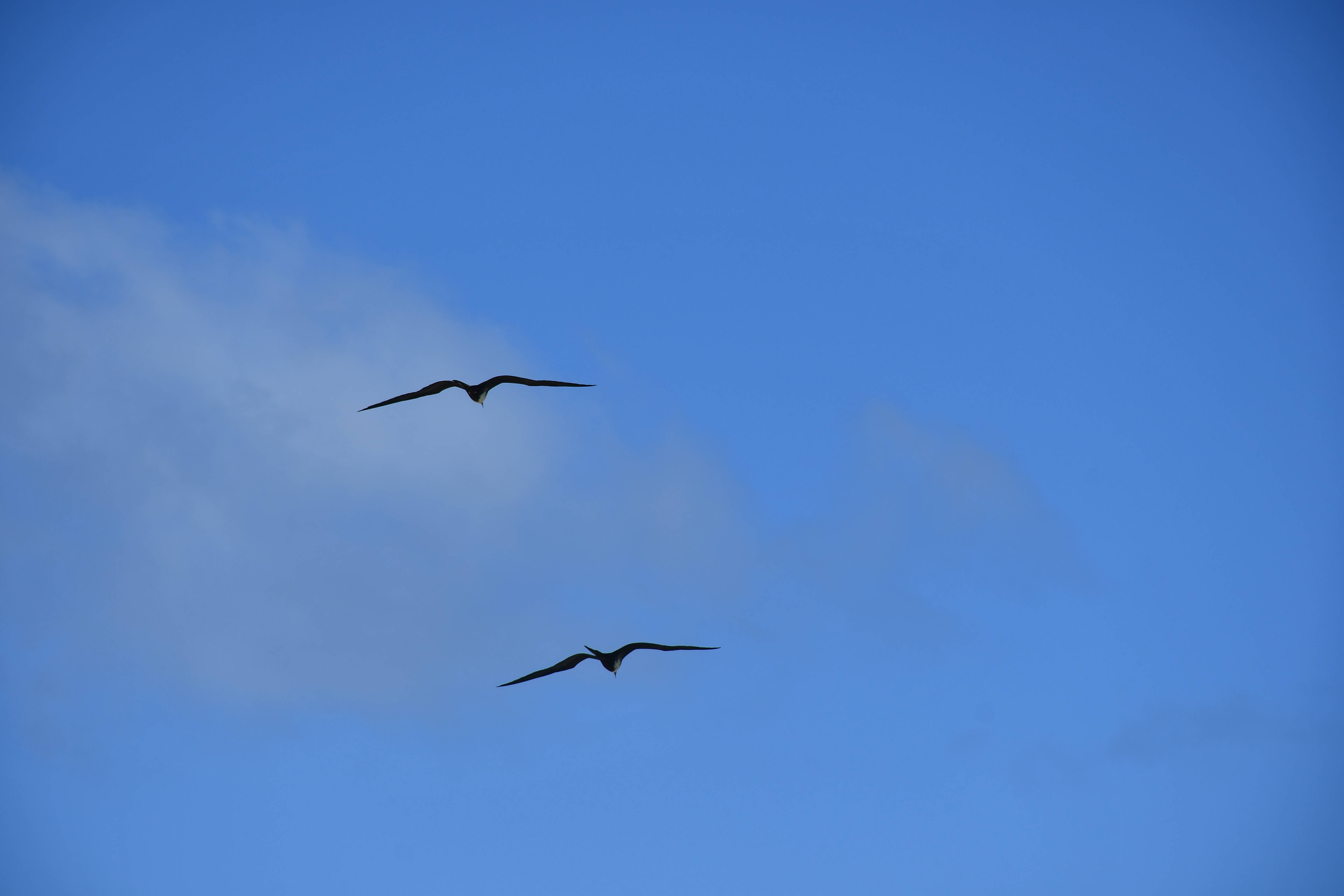 Venezuela, blue sky, white clouds, 5K Desktop Wallpaper