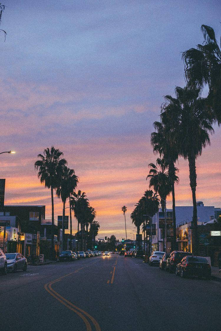 Venice Beach, palm-lined street, twilight hues, SD Phone Wallpaper