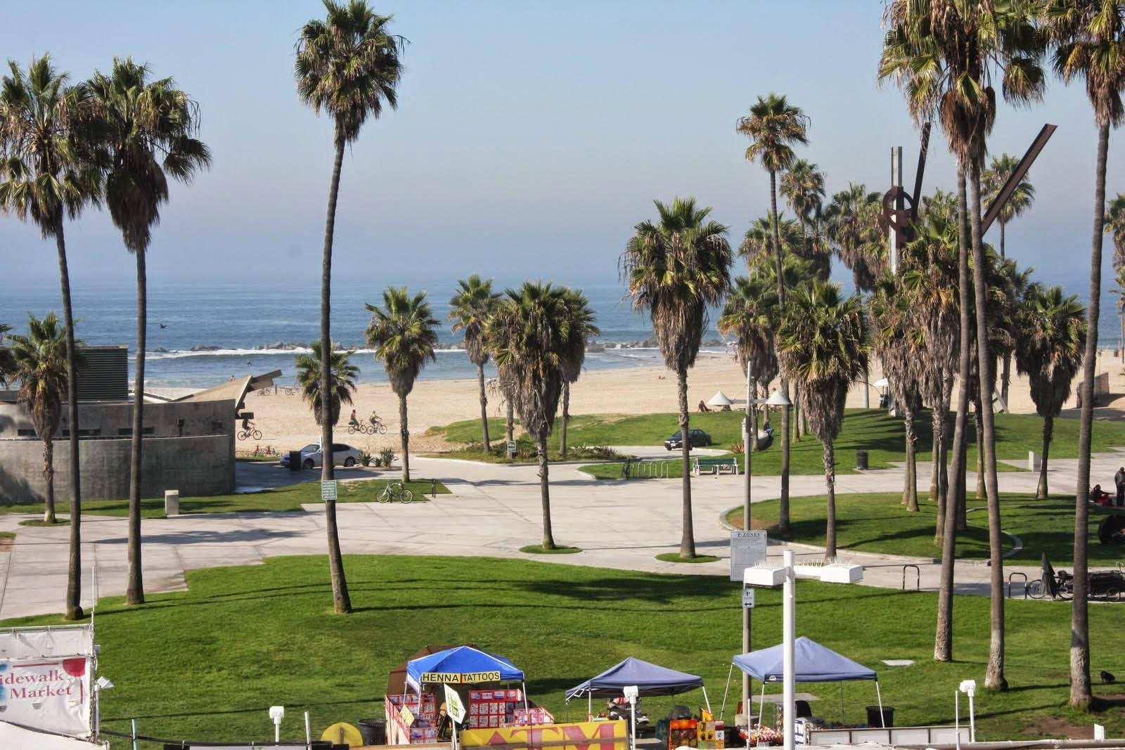 Venice Beach, palm trees, sunny beachside park, HD Desktop Wallpaper