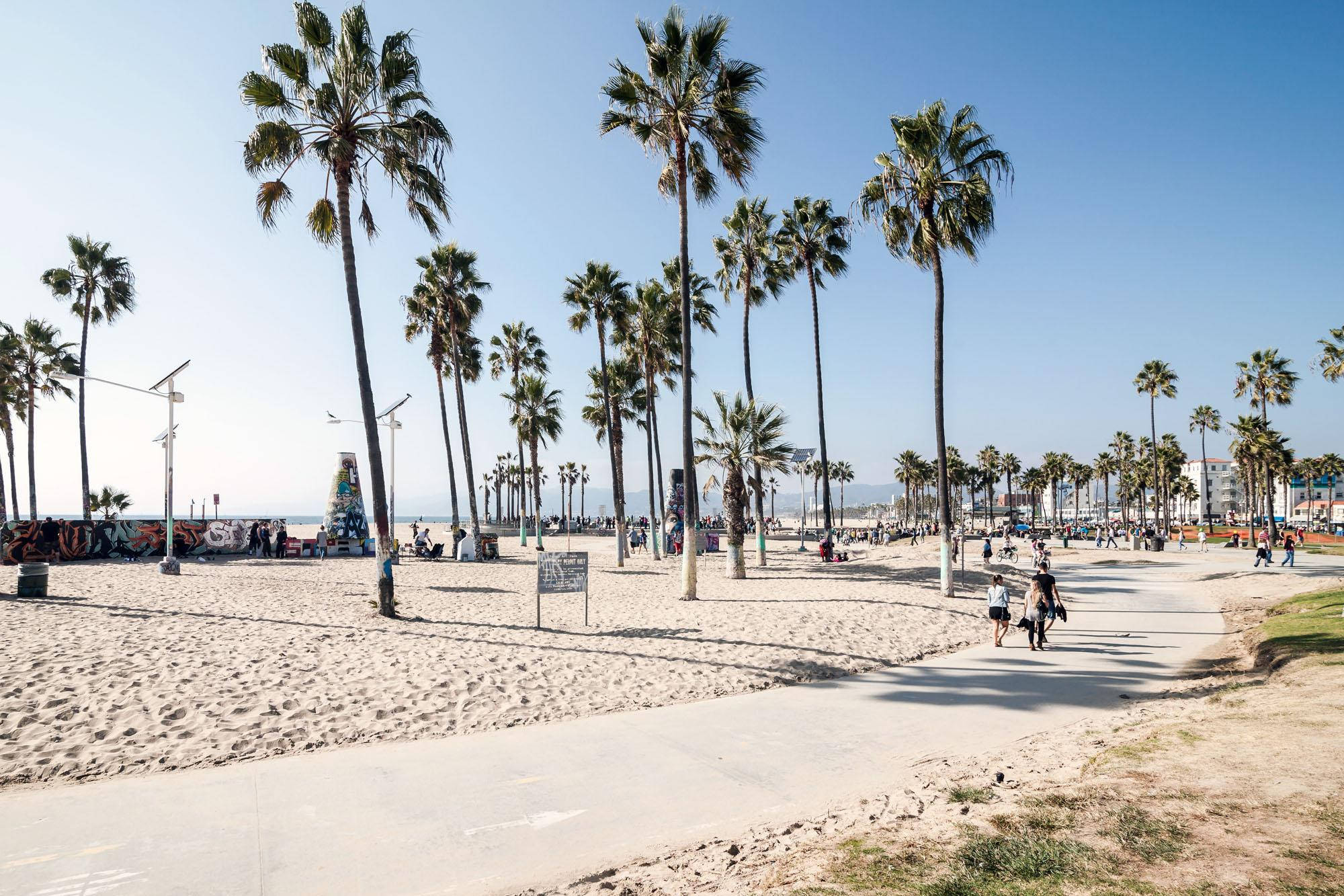 Venice Beach, pedestrian path, tall palm trees, Full HD Desktop Wallpaper