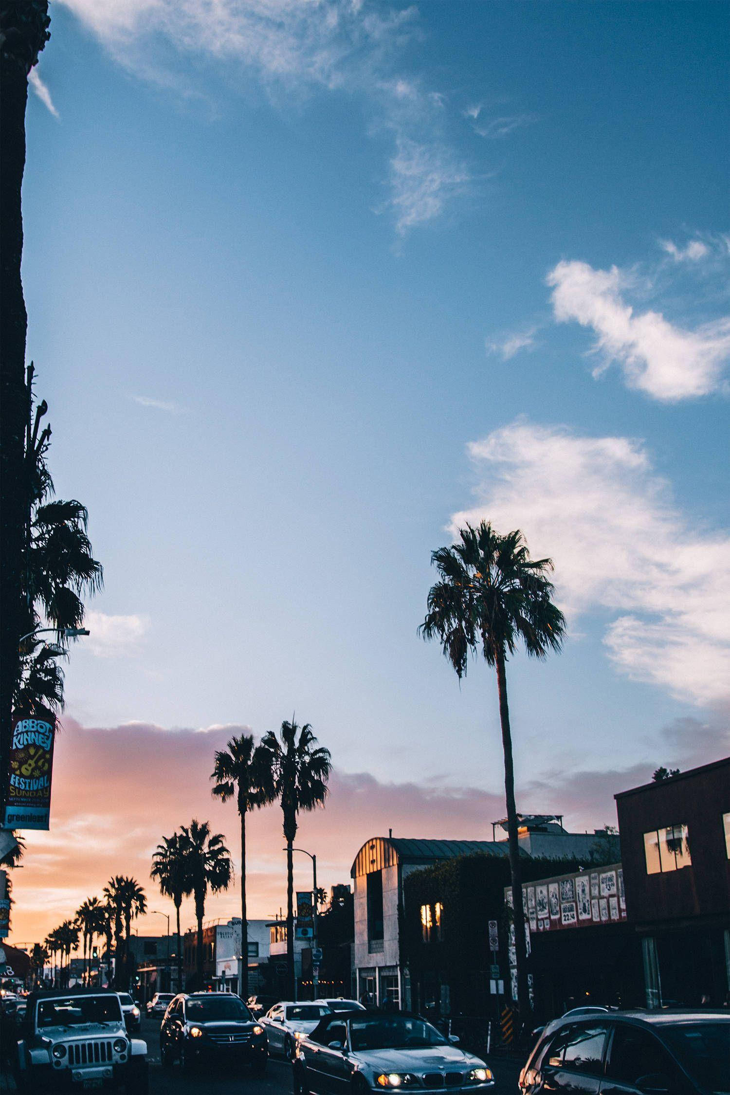 Venice Beach, palm trees, bustling street, Full HD Phone Wallpaper
