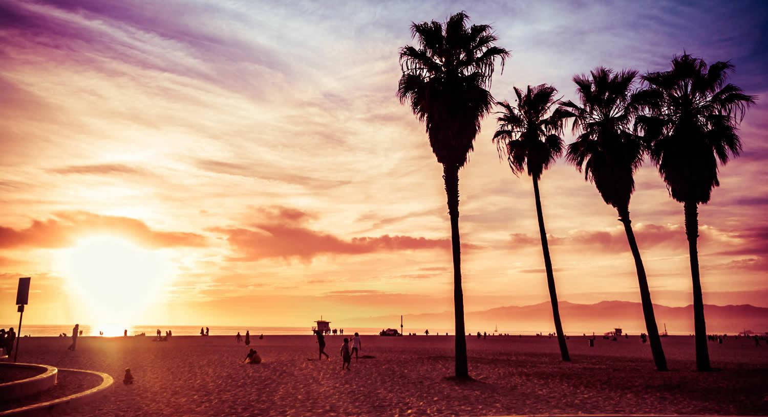 Venice Beach, sunset, palm trees, HD Desktop Wallpaper