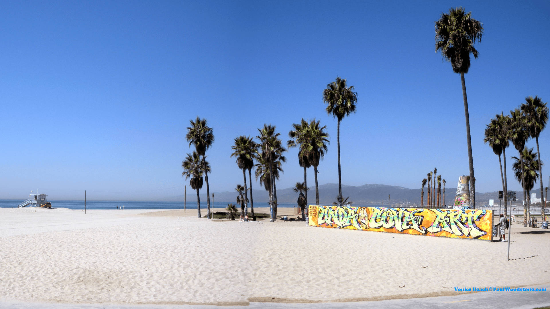Venice Beach, graffiti wall, palm trees, Full HD Desktop Wallpaper