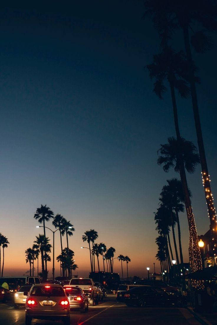 Venice Beach, sundown, glowing taillights, SD Phone Wallpaper