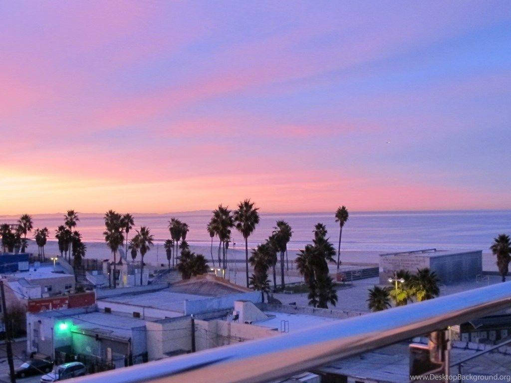 Venice Beach, pink sunset, palm trees, SD Desktop Wallpaper