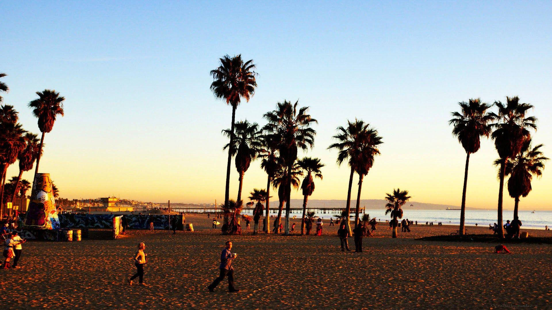 Venice Beach, sunset, palm trees, Full HD Desktop Wallpaper