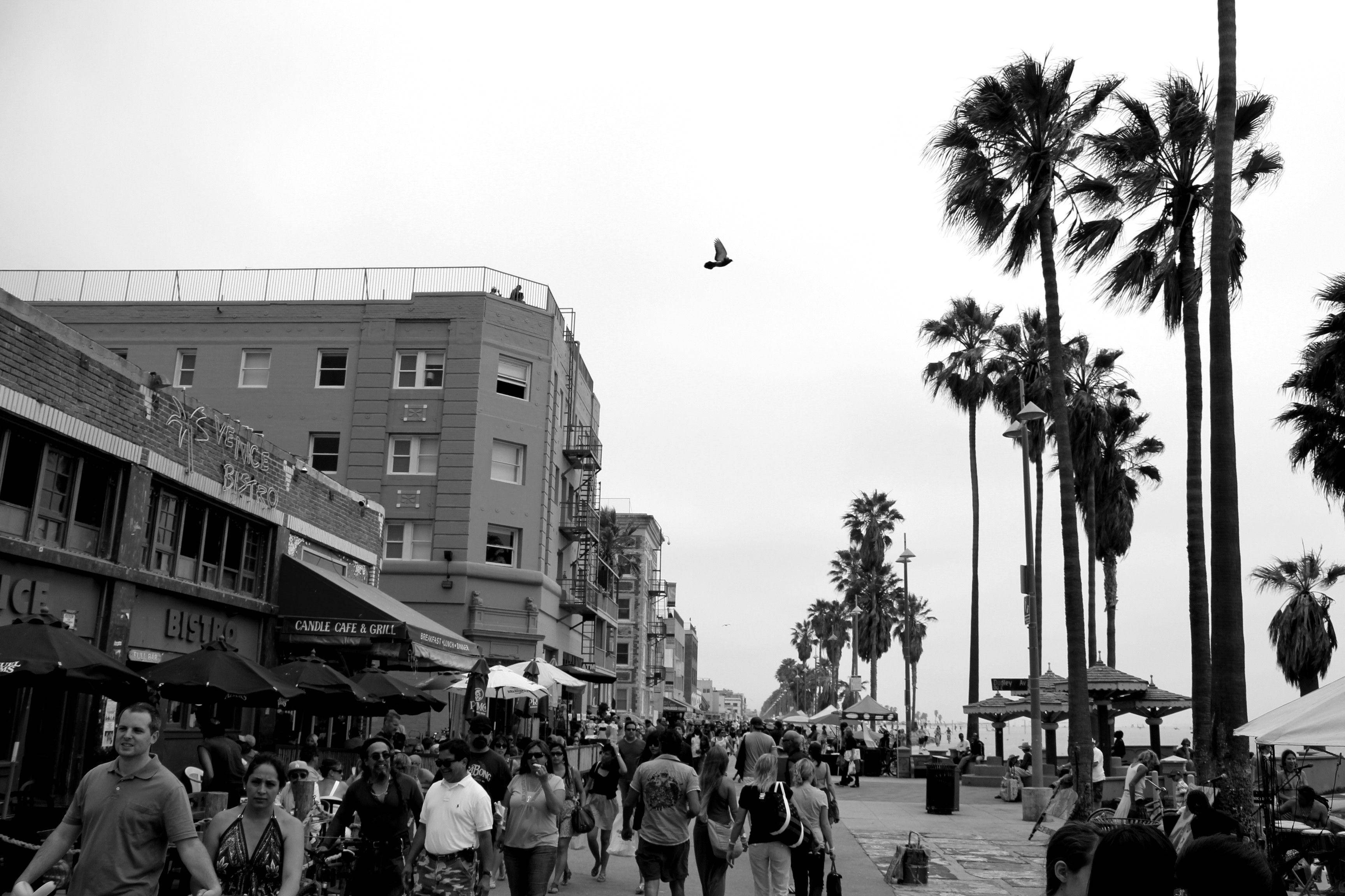 Venice Beach, monochrome, bustling boardwalk, 2K Desktop Wallpaper