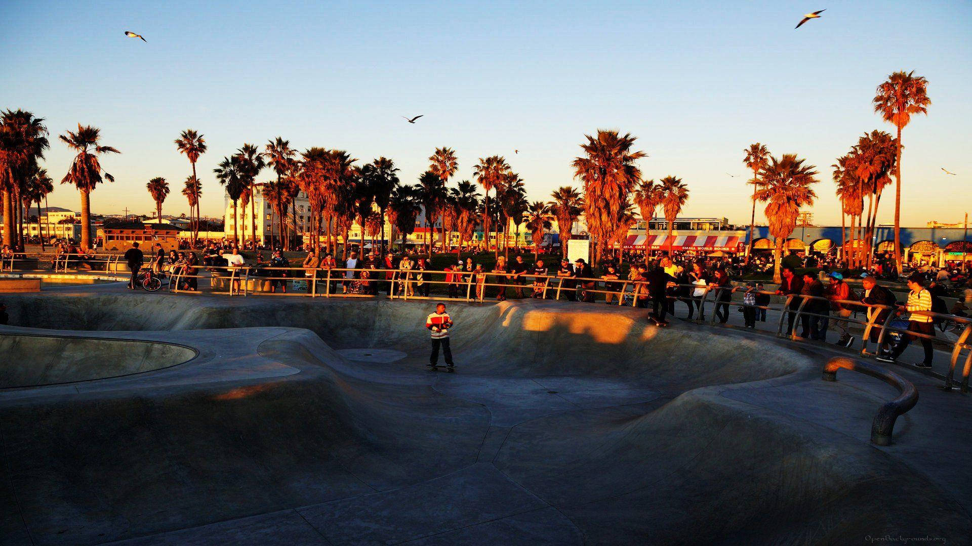Venice Beach, sunset, palm trees, Full HD Desktop Wallpaper