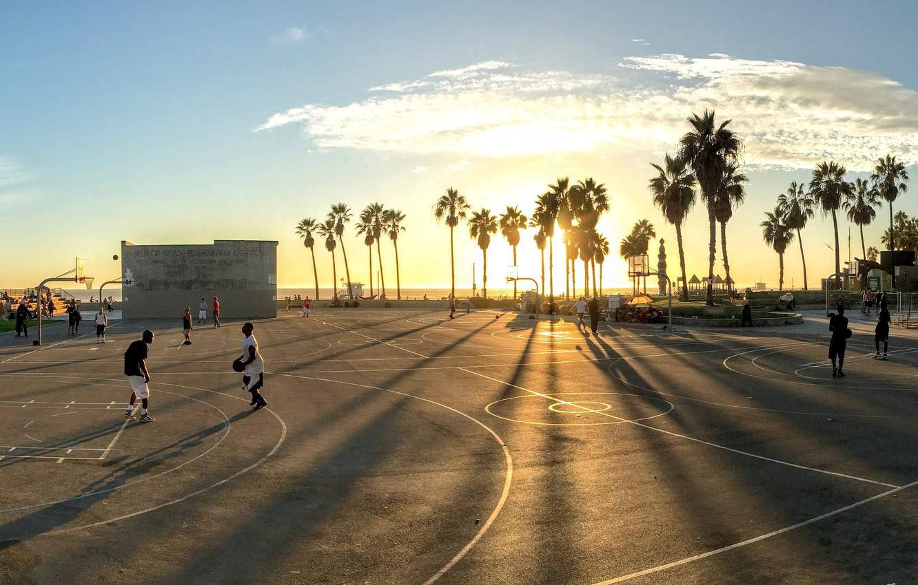 Venice Beach, basketball court, palm trees, HD Desktop Wallpaper