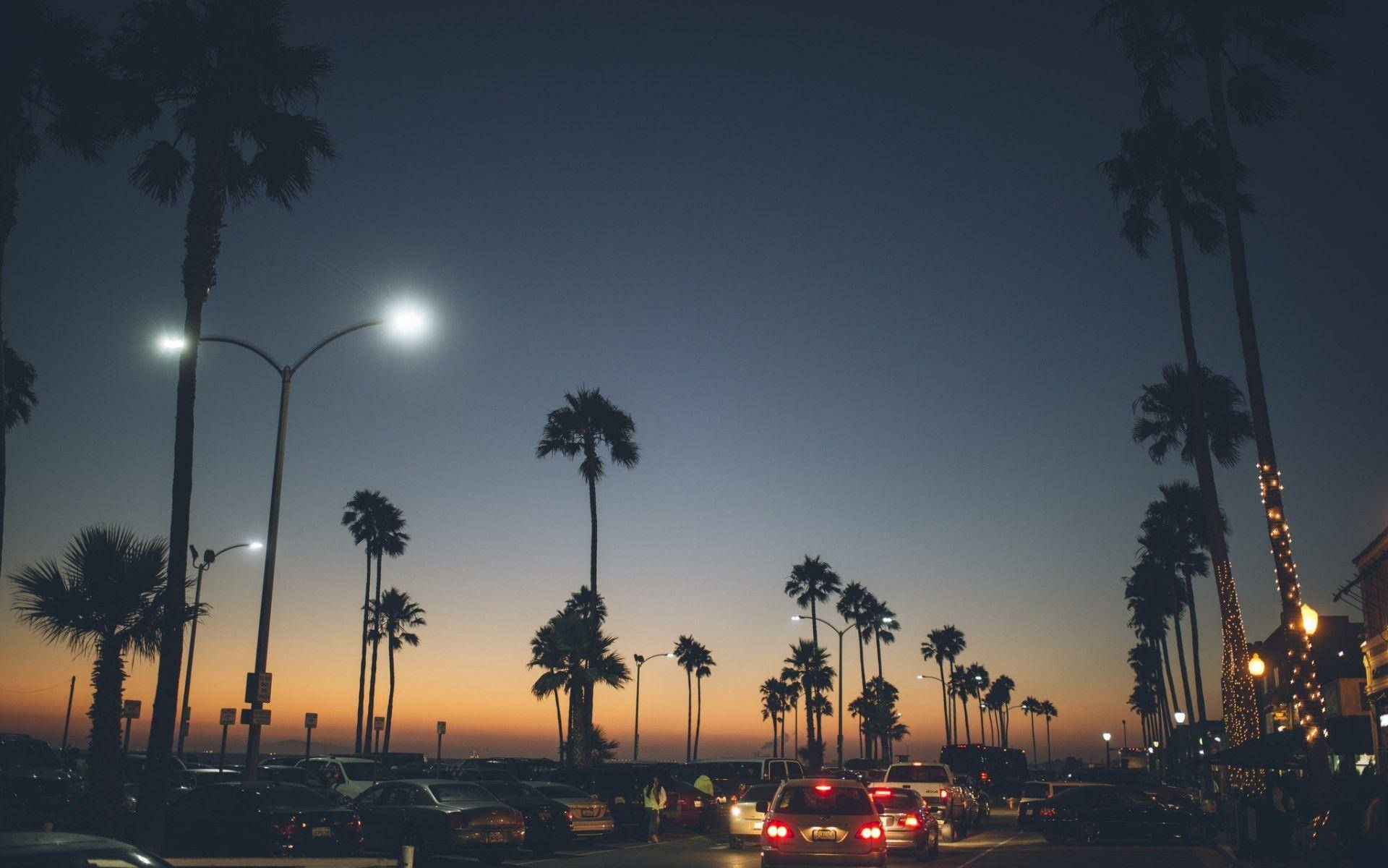 Venice Beach, palm trees, twilight, Full HD Desktop Wallpaper