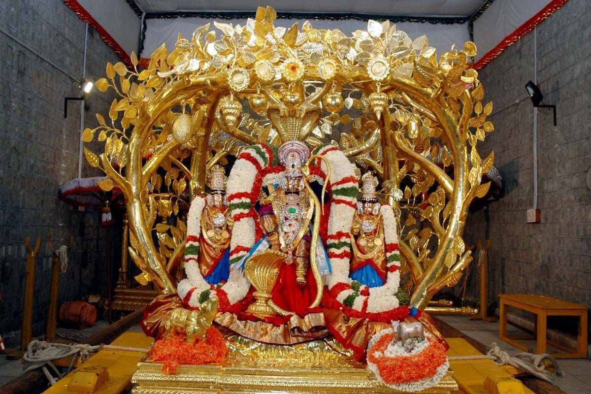 Venkateswara Swamy, kalpavriksha gold chariot, golden chieftain, SD Desktop Wallpaper
