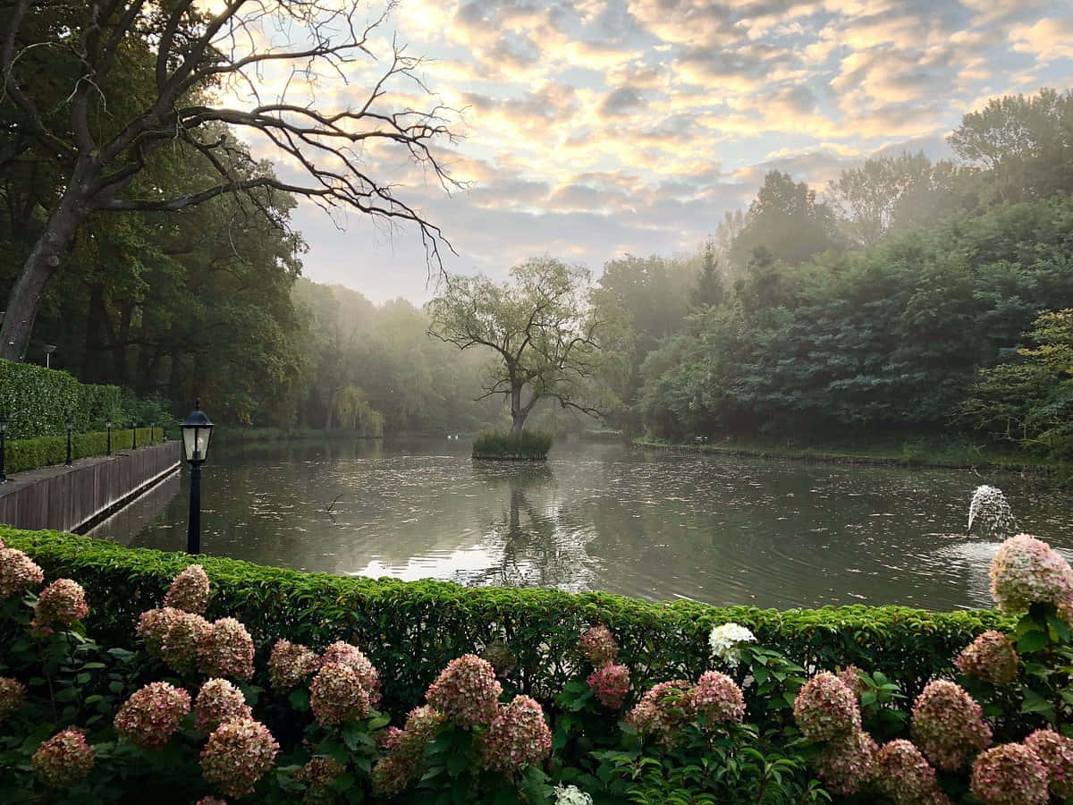 Misty Morning Lake Venlo, tranquil pond, lush greenery, SD Desktop Wallpaper