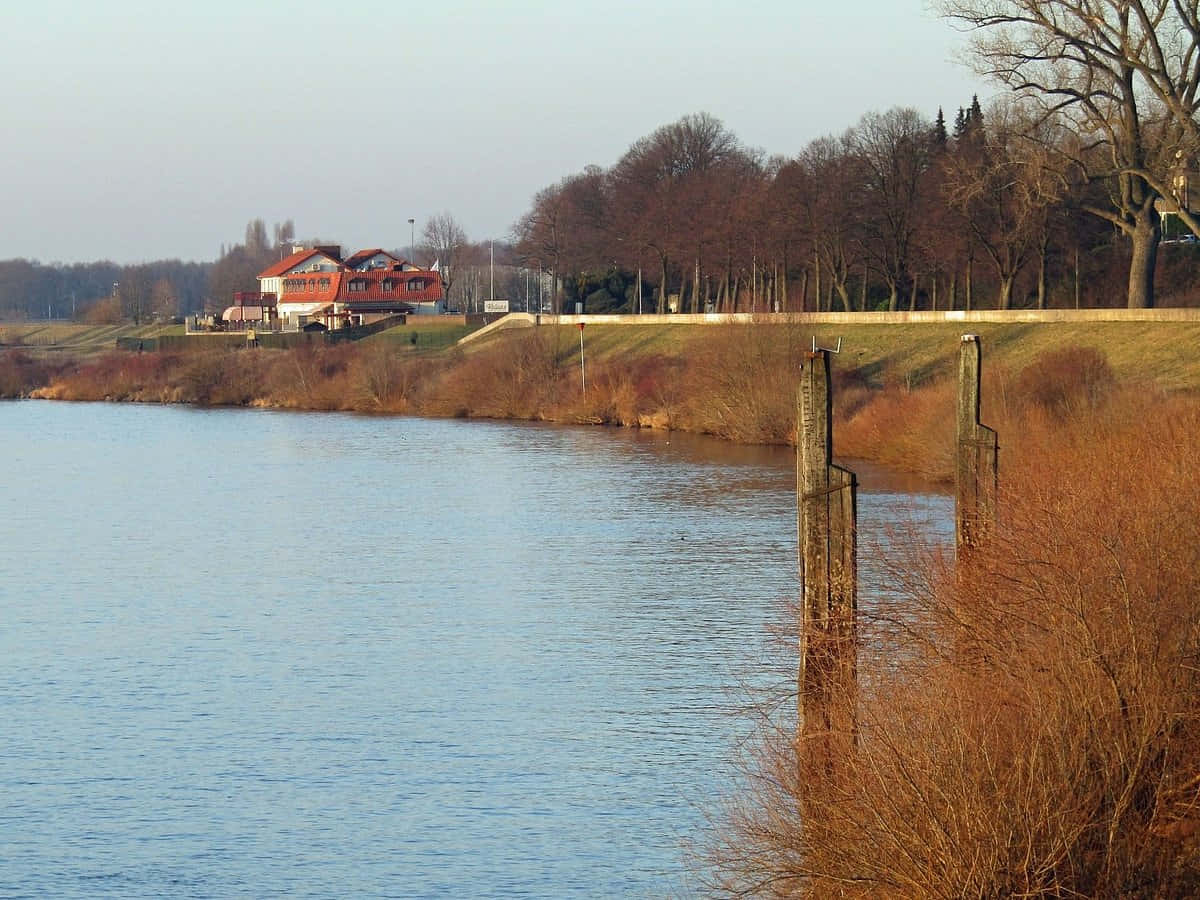 Venlo, riverfront, bare winter trees, SD Desktop Wallpaper