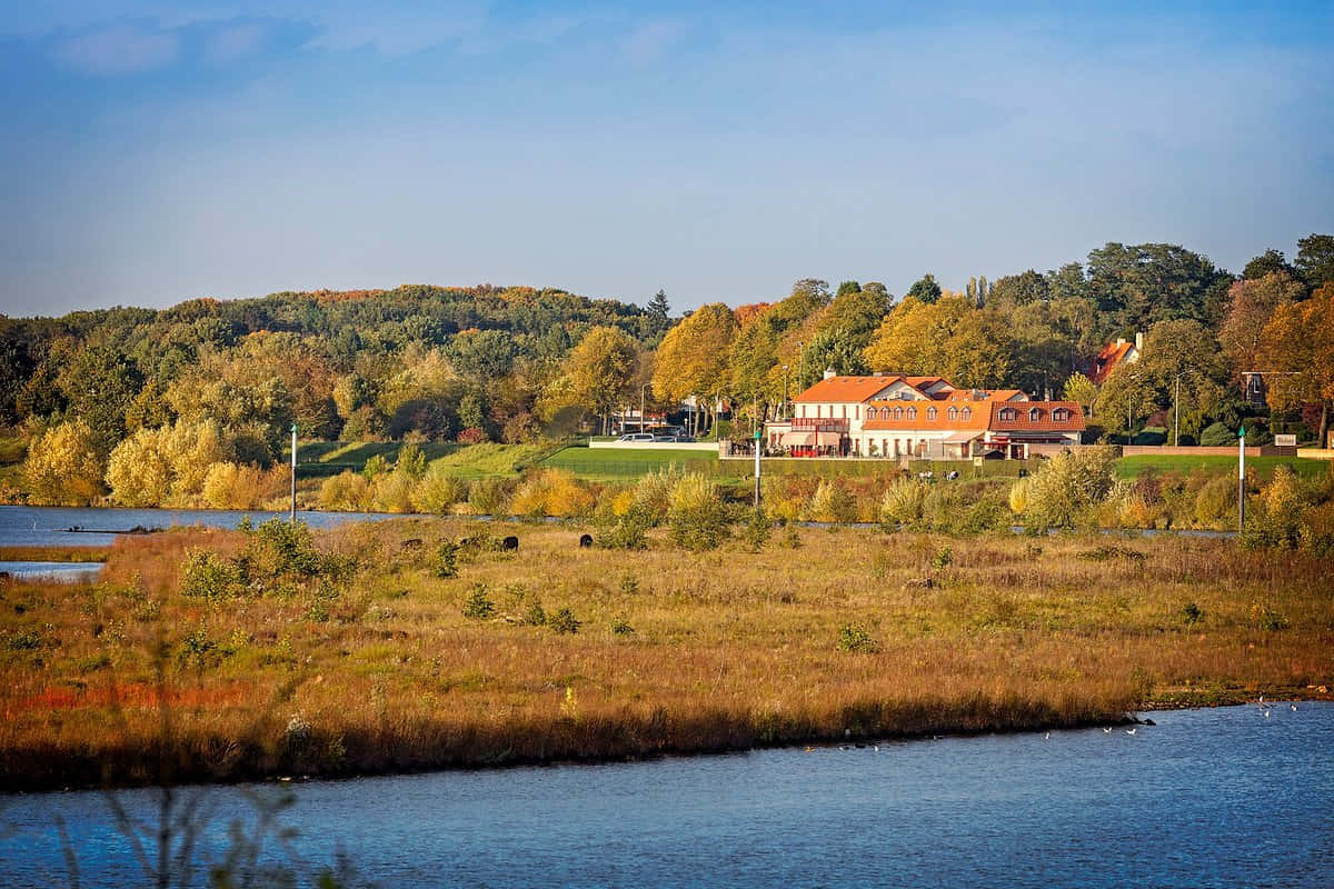 Venlo, autumn, lakeside, SD Desktop Wallpaper