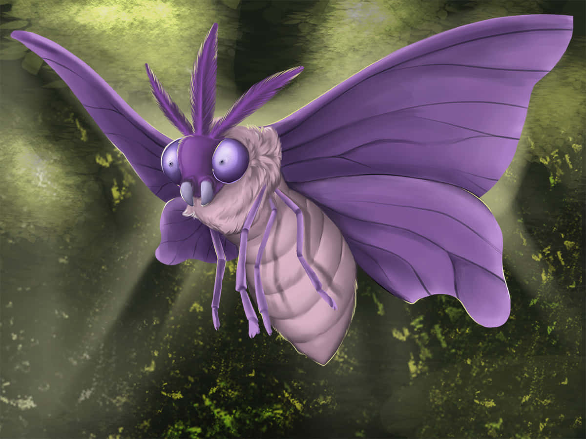 Venomoth, Bug and Poison type Pokémon, purple moth, SD Desktop Wallpaper