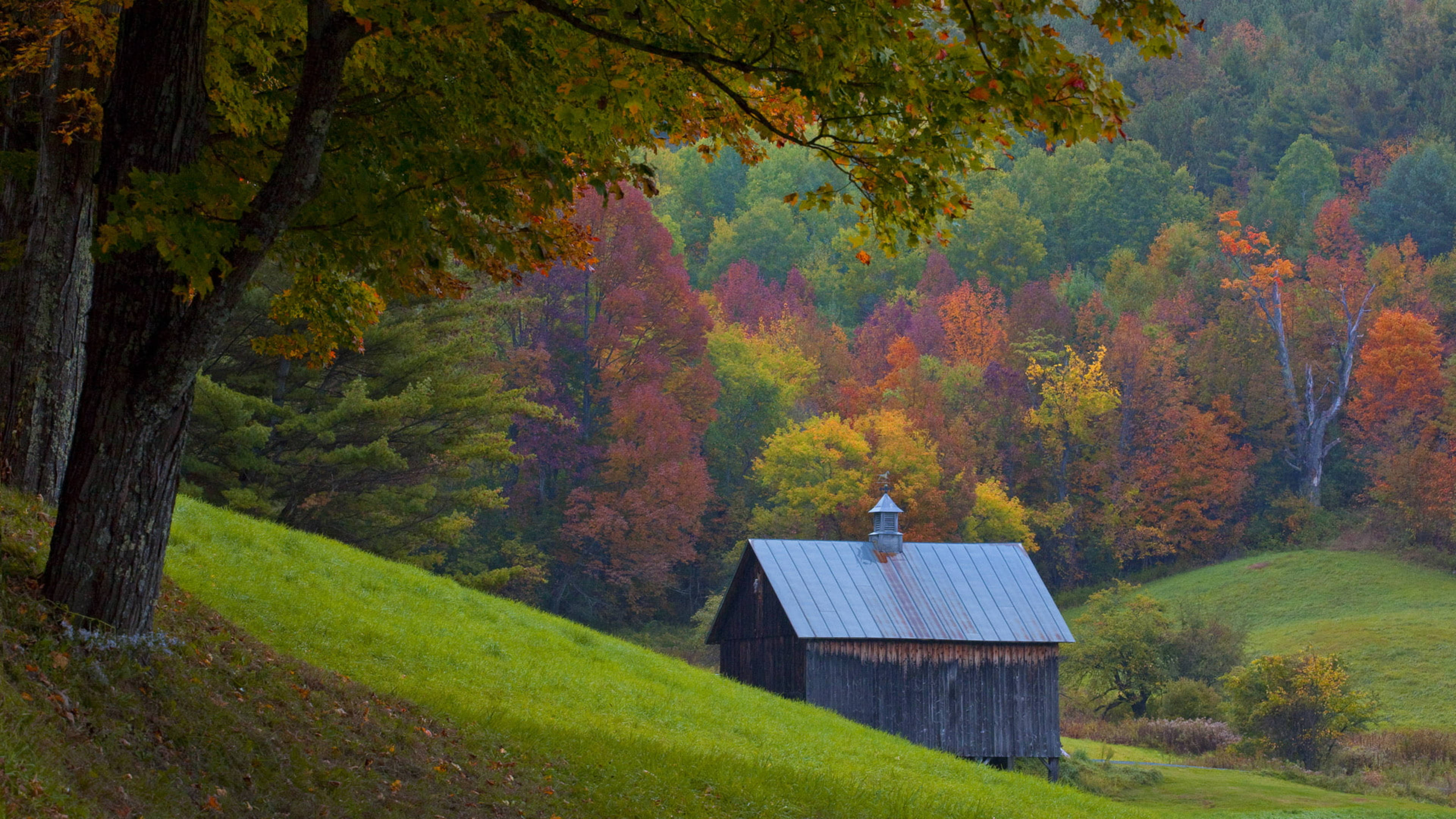 Vermont, wood house, autumn, 4K Desktop Wallpaper