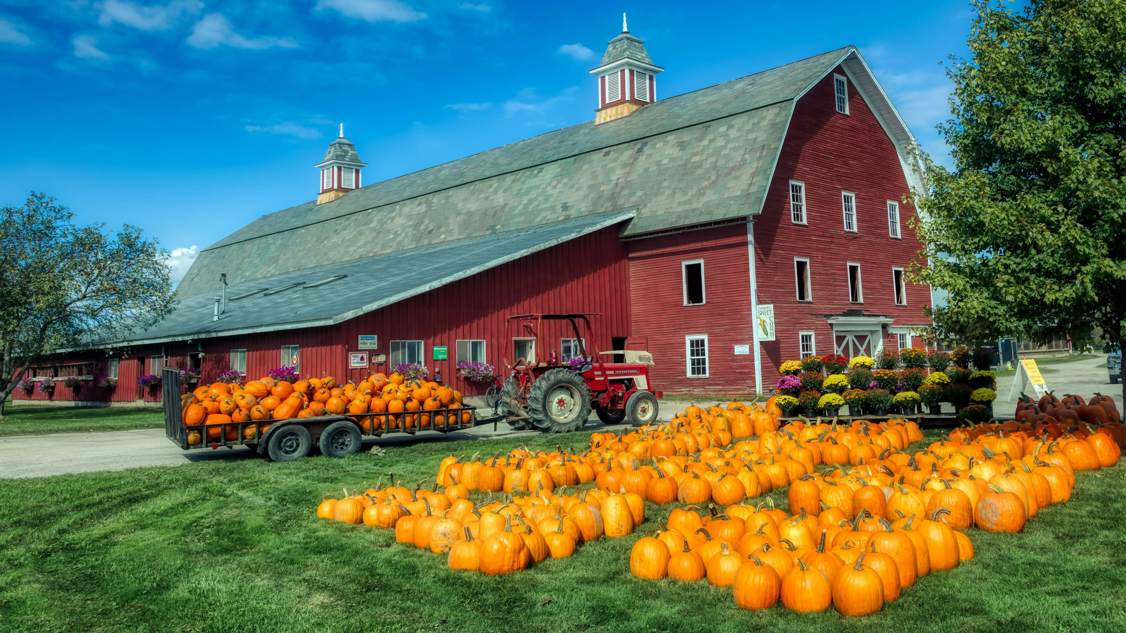 Vermont, red barn, gray roof, 4K Desktop Wallpaper