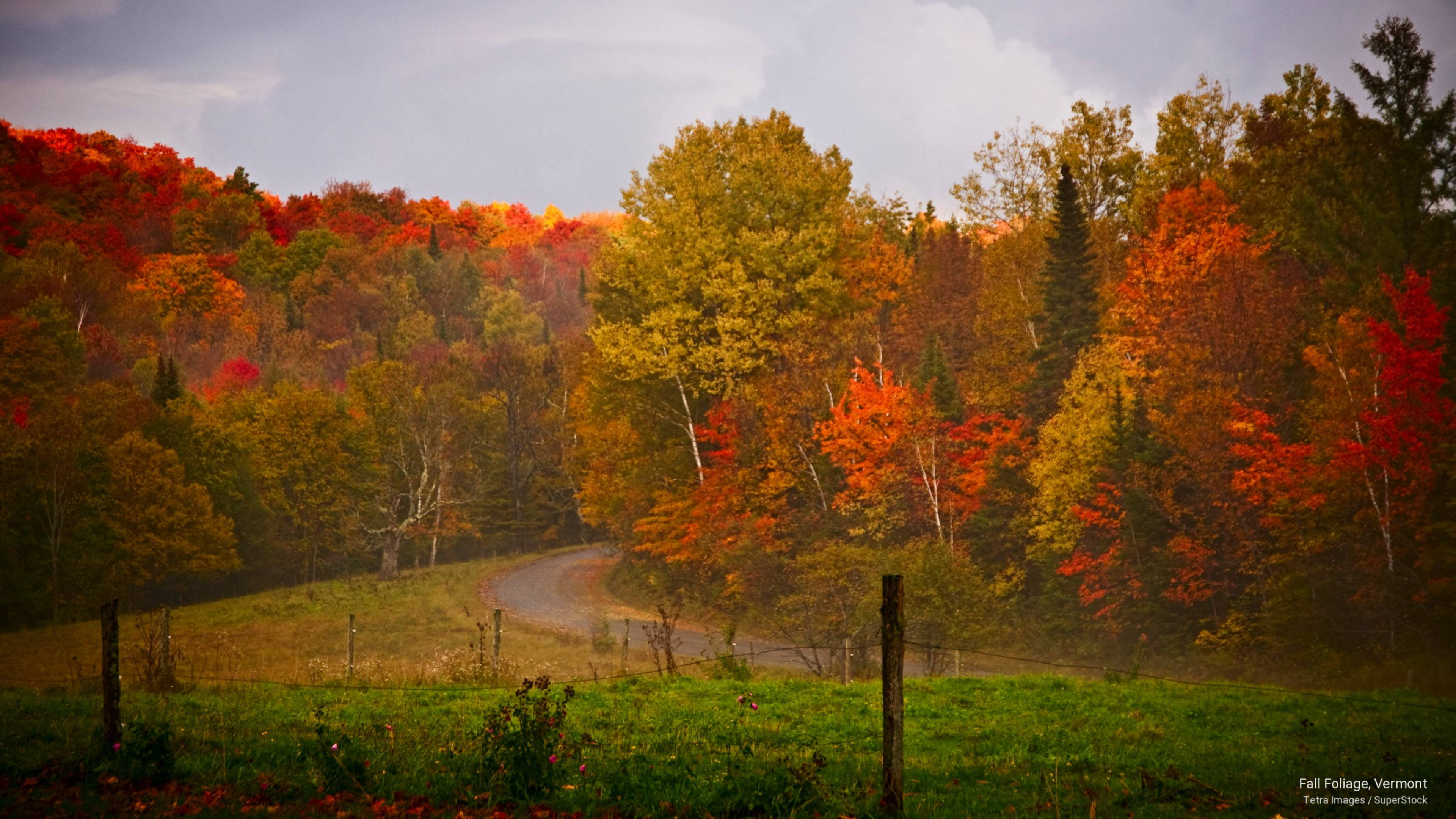 Vermont, fall foliage, winding road, 4K Desktop Wallpaper