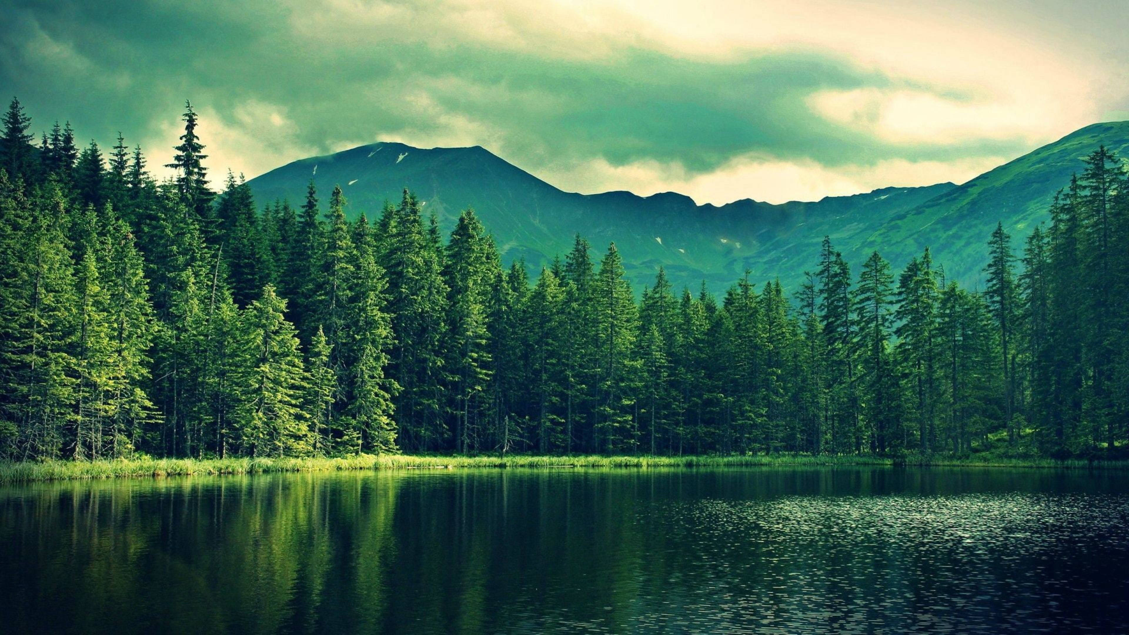 Forest Lake, Vermont, mountain lake, 4K Desktop Wallpaper