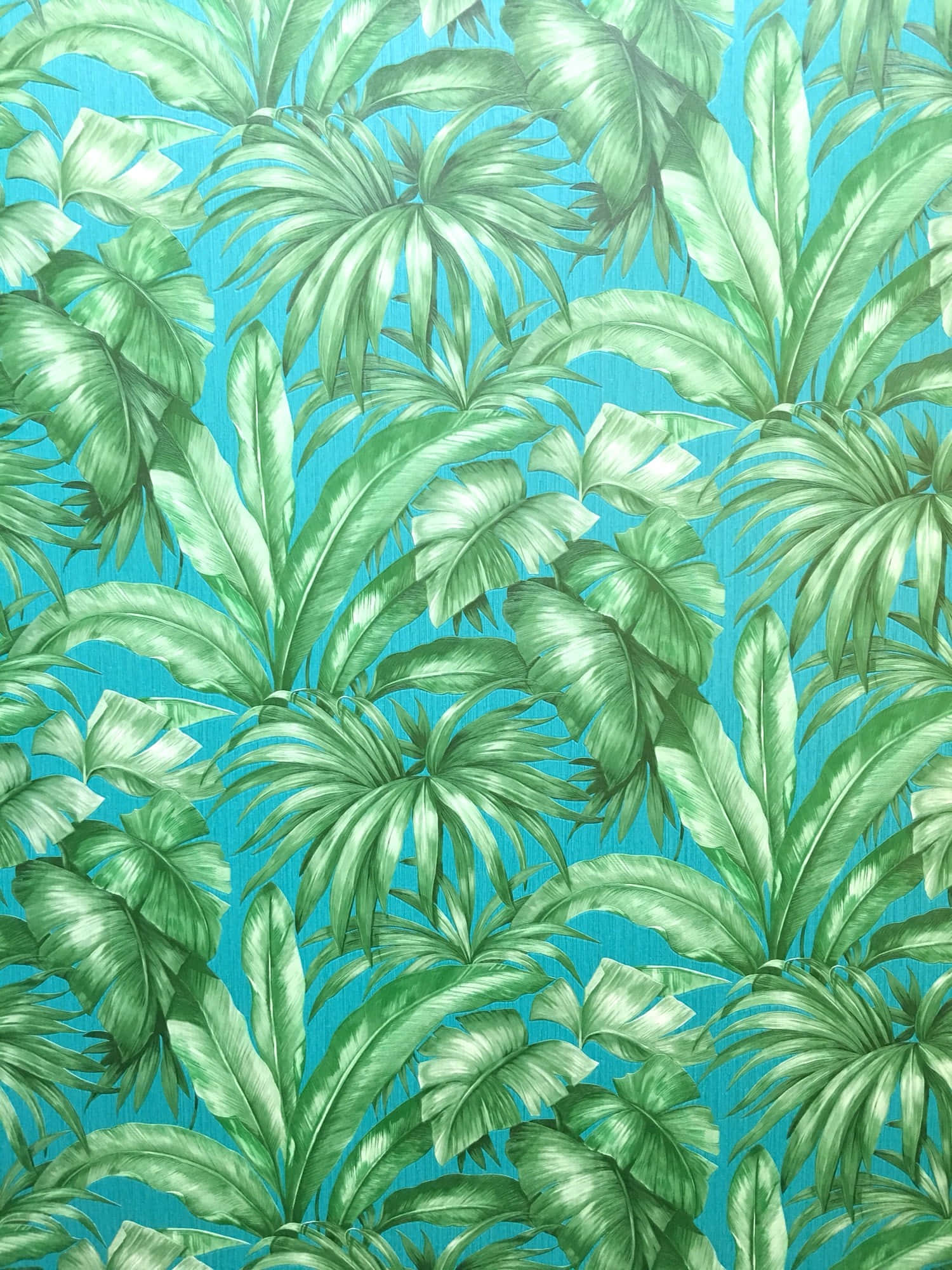 Versace, iPhone, green palm trees, Full HD Phone Wallpaper