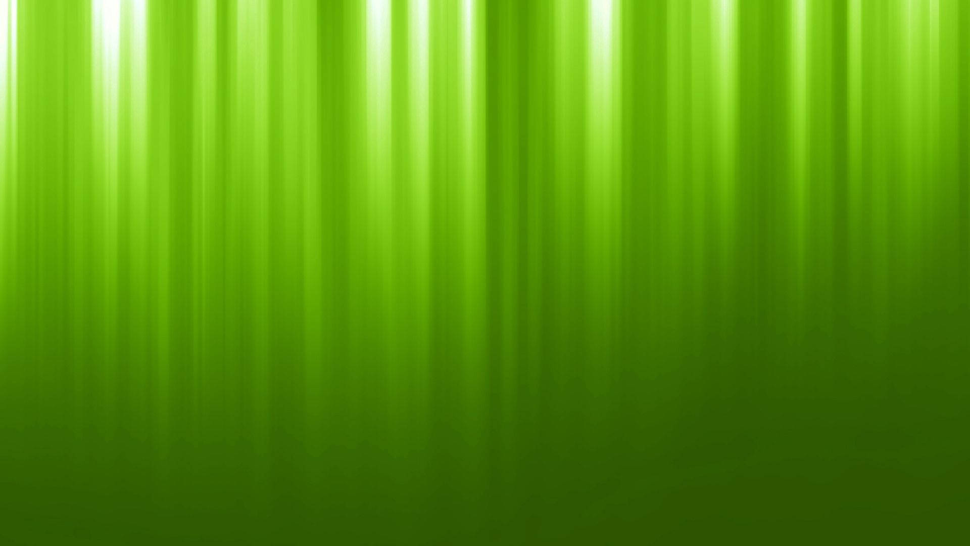 green vertical lights, vibrant green, vertical light rays, Full HD Desktop Wallpaper